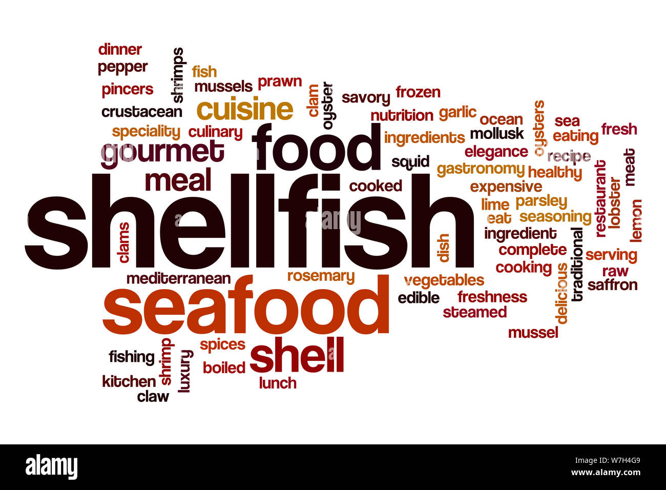 Shellfish word cloud Stock Photo Alamy