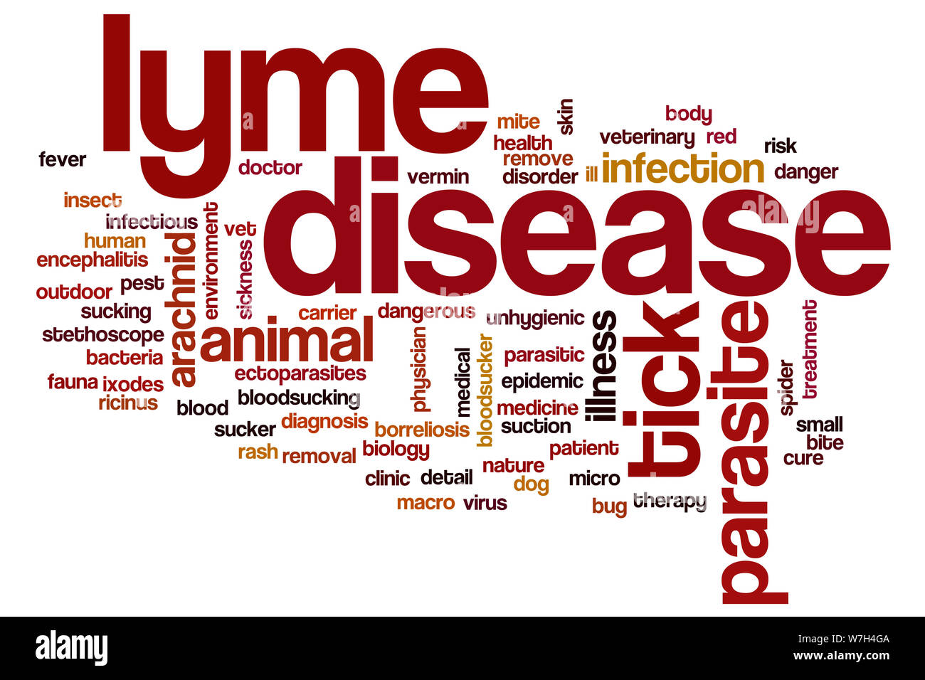 Lyme disease word cloud Stock Photo