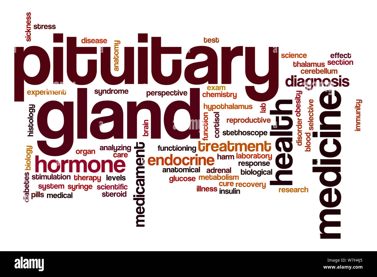 Pituitary gland word cloud Stock Photo
