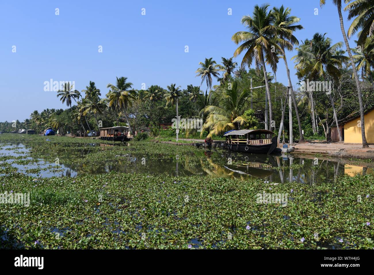 Kerala backwaters. Houseboats in the backwater canals in Kerala, India ...