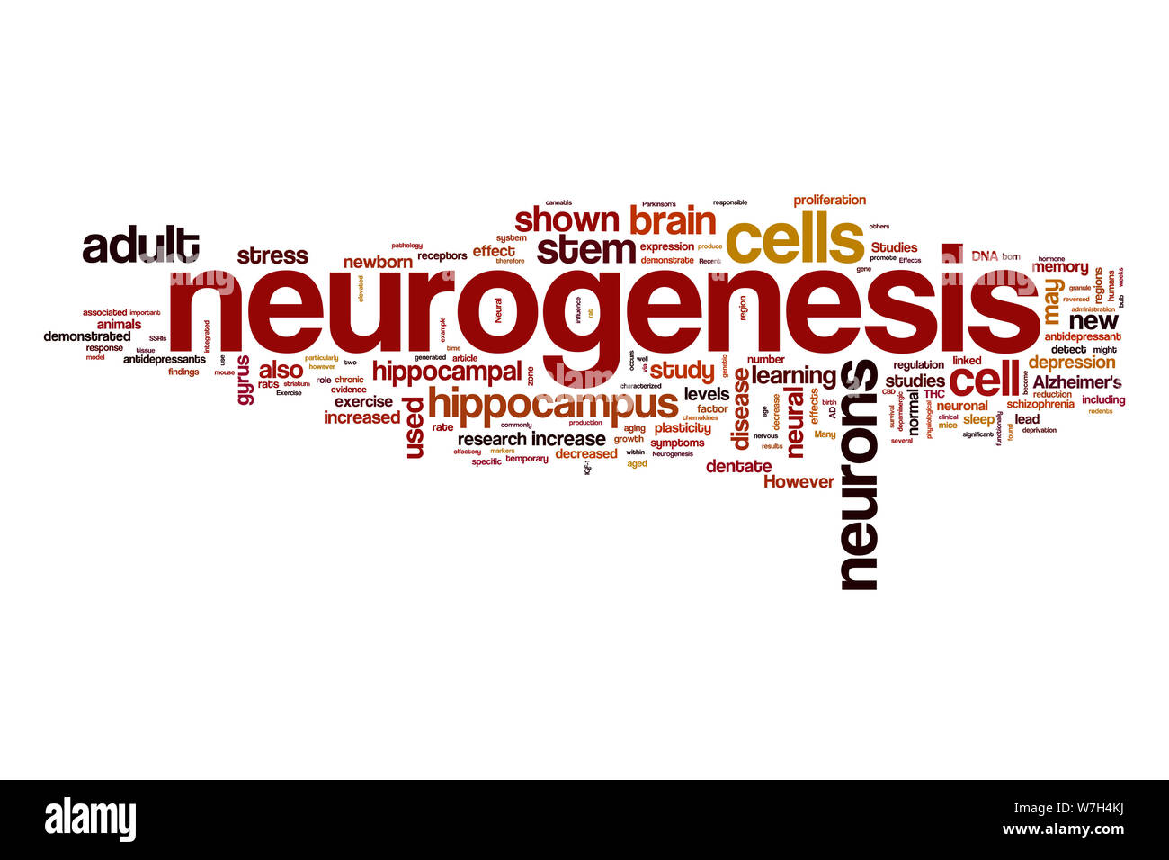 Neurogenesis word cloud Stock Photo