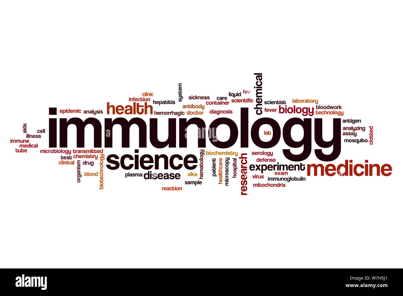 Immunology word cloud concept Stock Photo