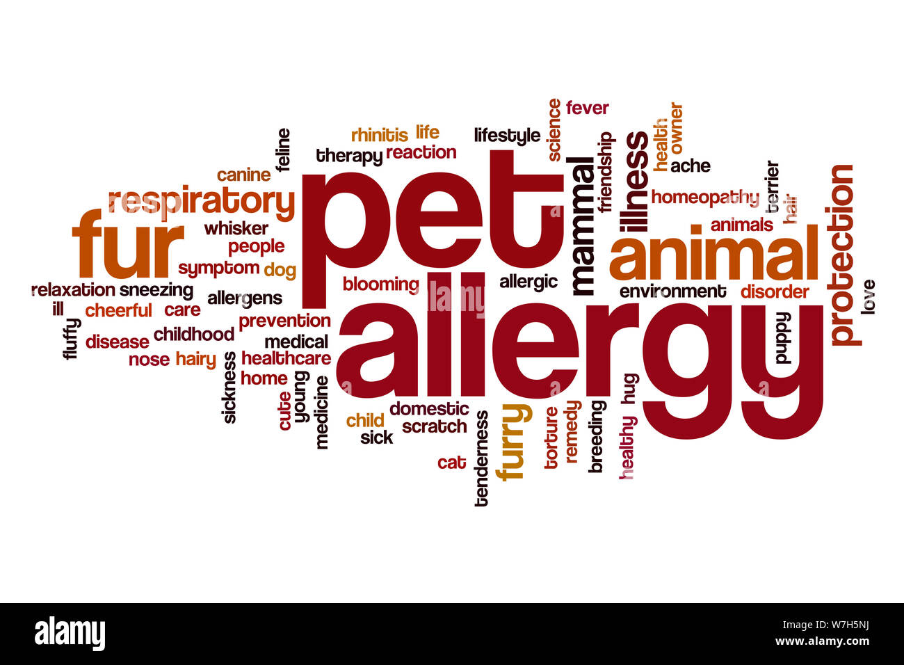 Pet allergy word cloud concept Stock Photo
