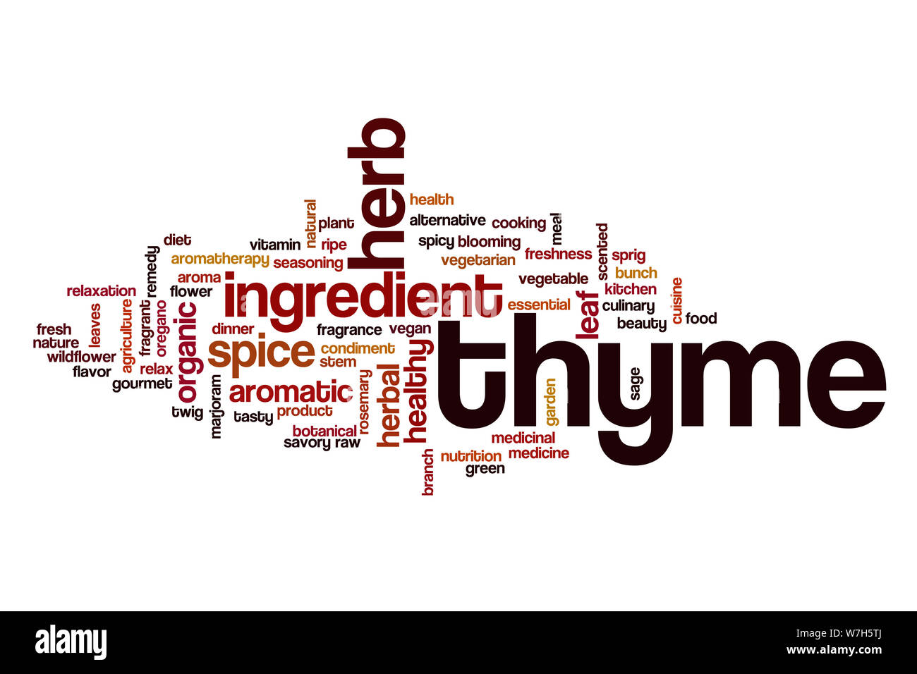Thyme word cloud concept Stock Photo Alamy