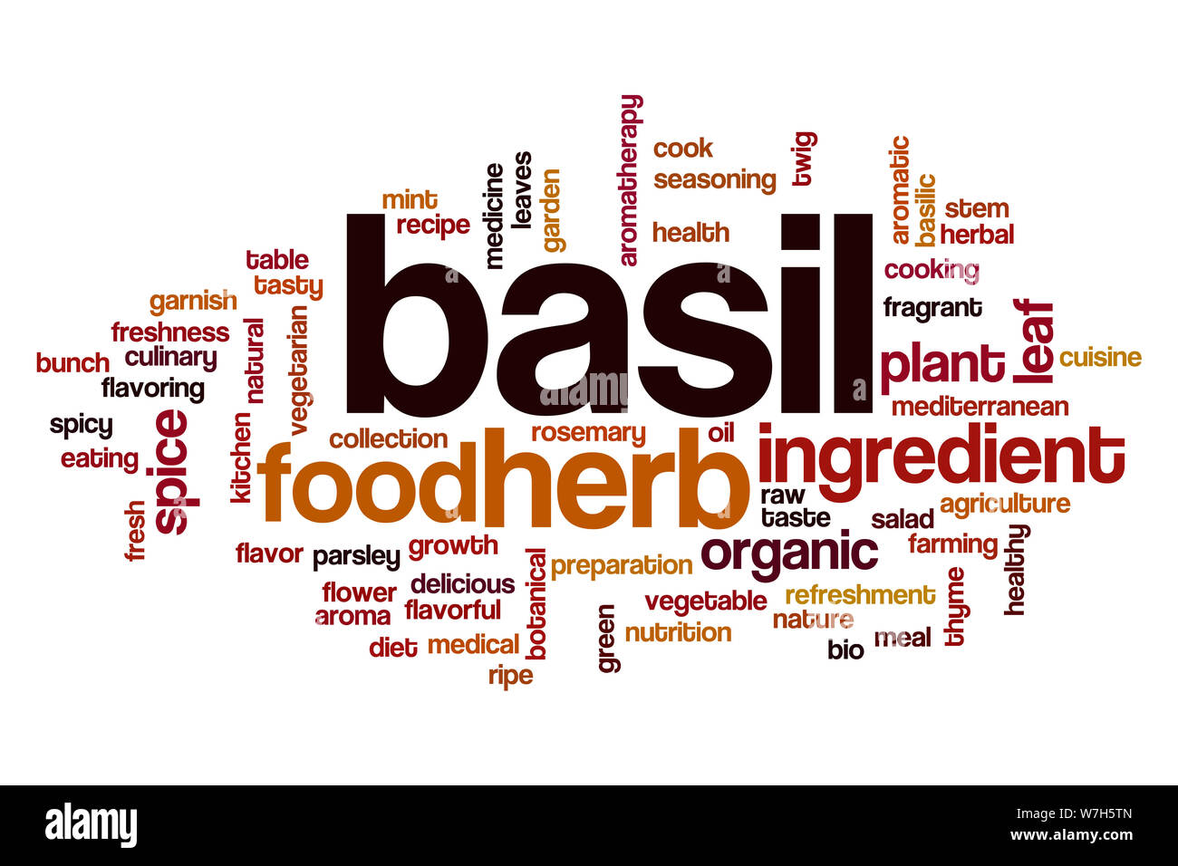 Basil word cloud concept Stock Photo Alamy