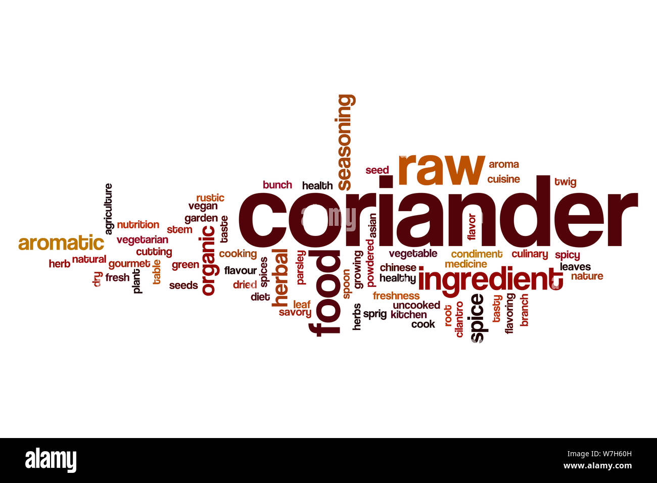 Coriander word cloud concept Stock Photo Alamy
