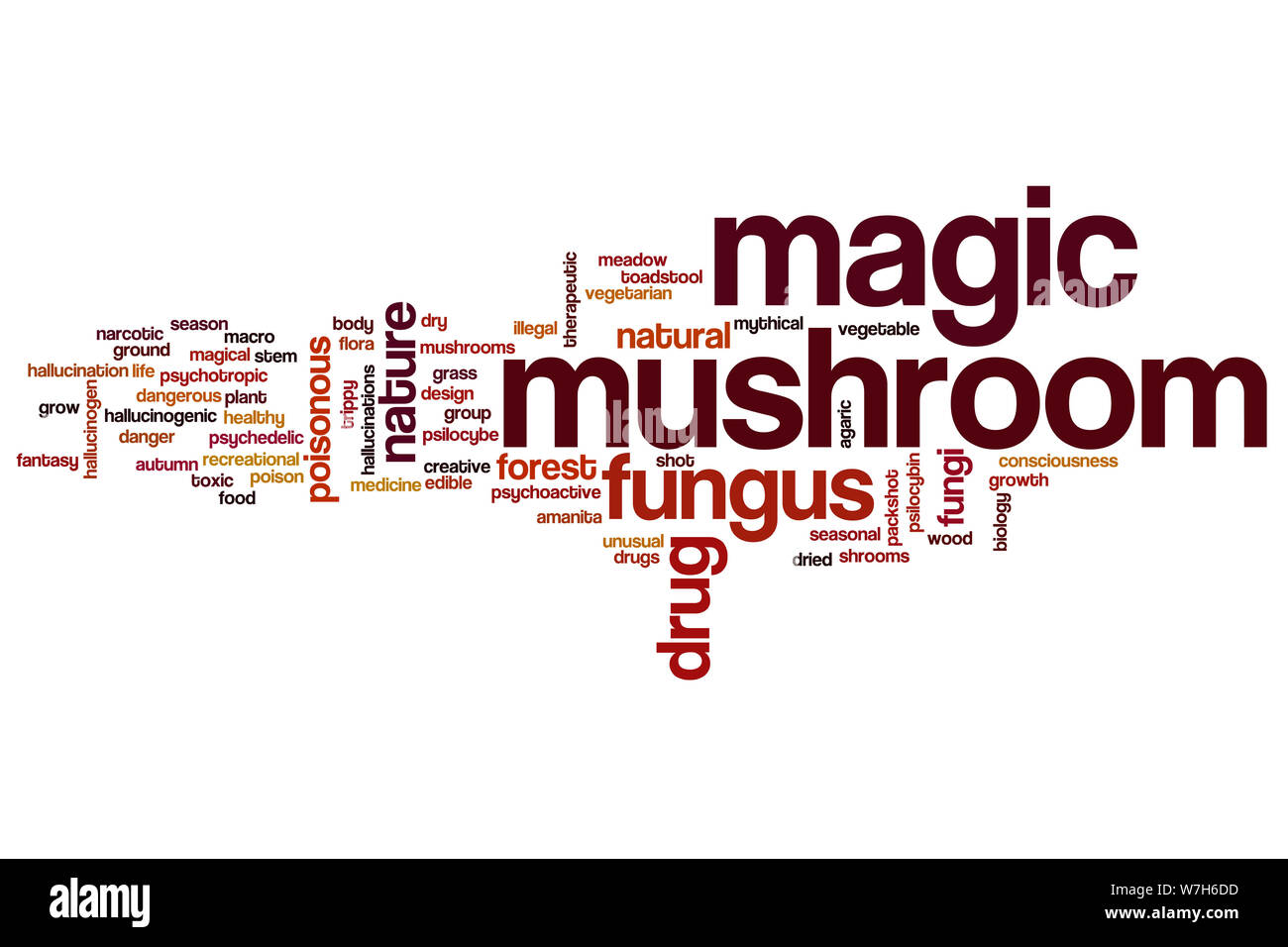 Magic mushroom word cloud concept Stock Photo