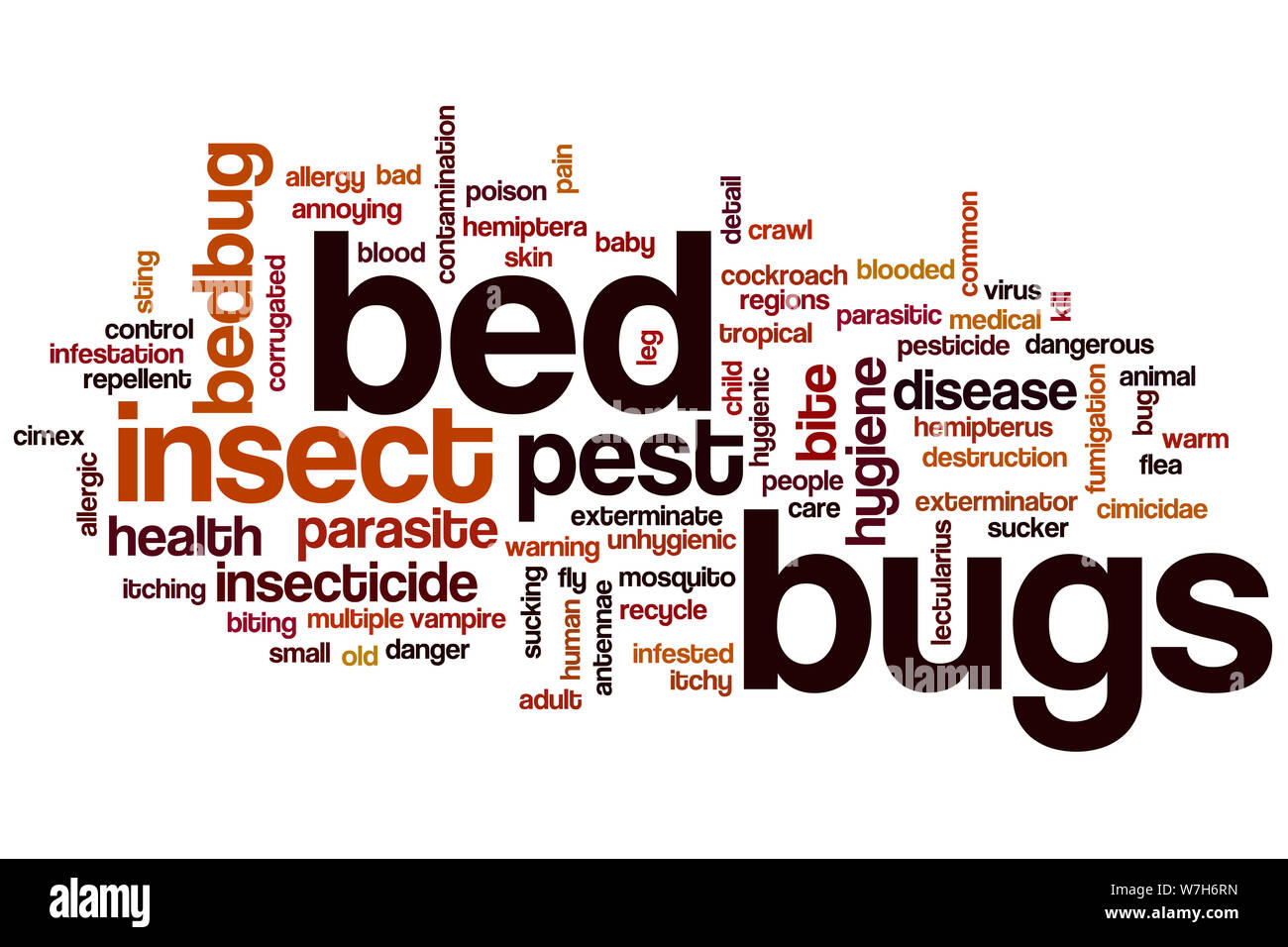 Bed bugs word cloud concept Stock Photo Alamy