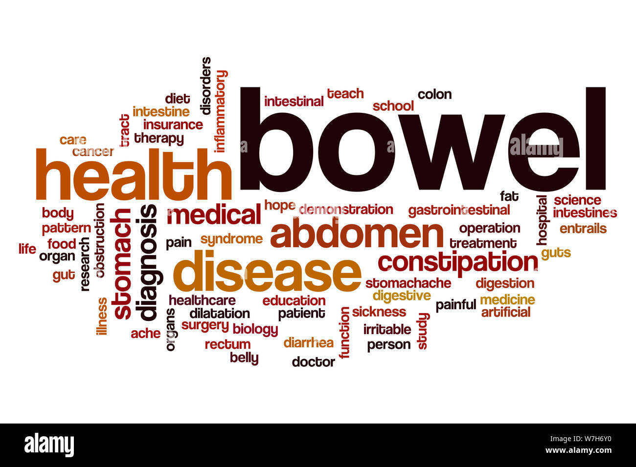 Bowel word cloud concept Stock Photo