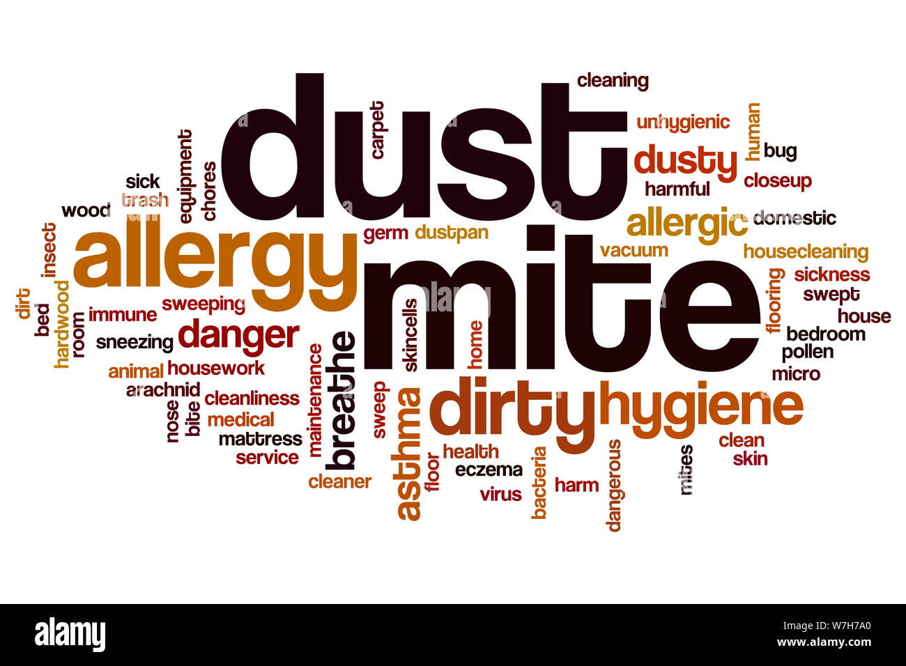 Dust mite word cloud concept Stock Photo