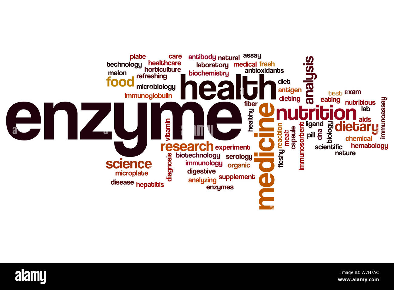 Enzyme word cloud concept Stock Photo Alamy