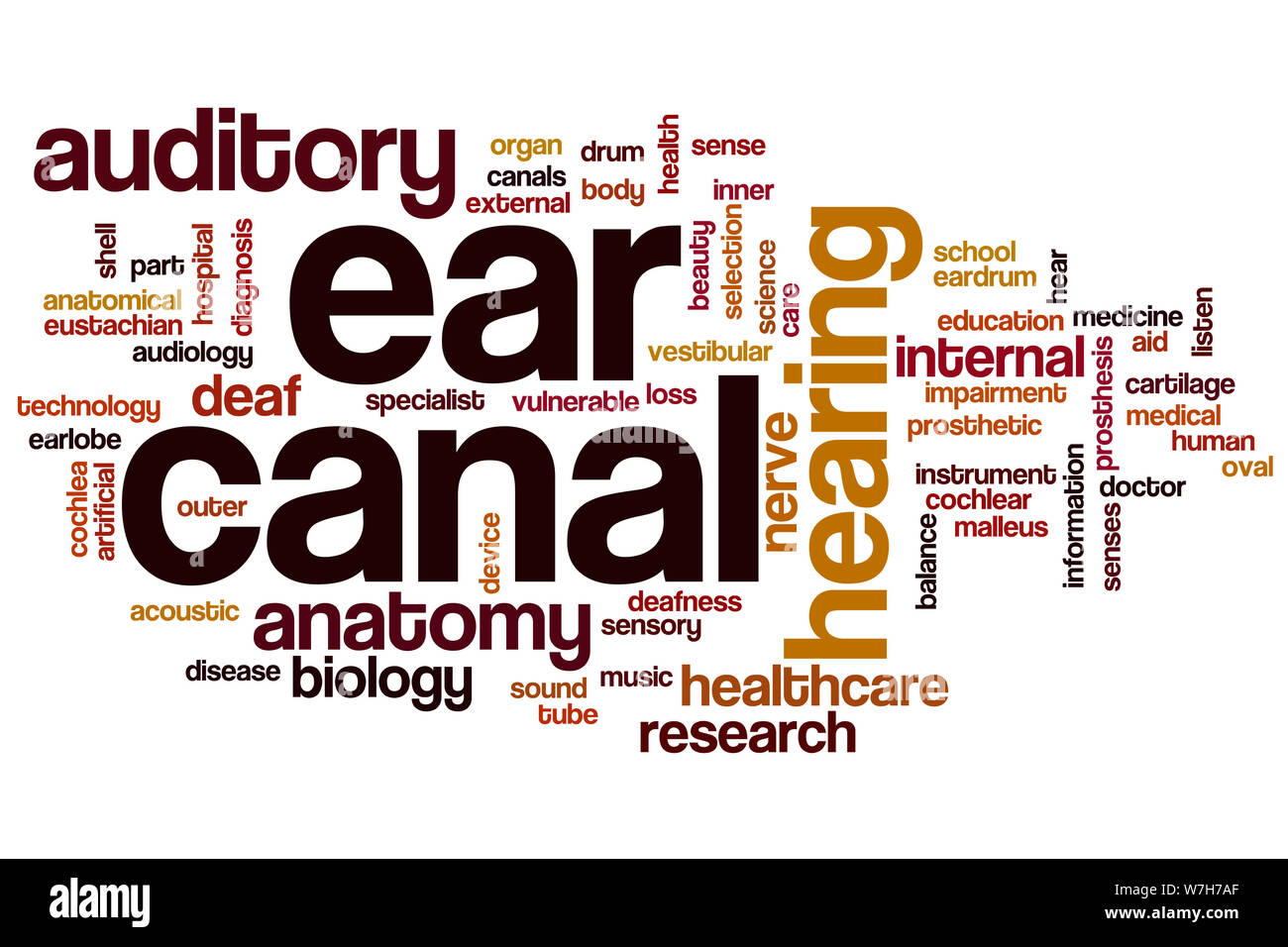 Ear canal word cloud concept Stock Photo