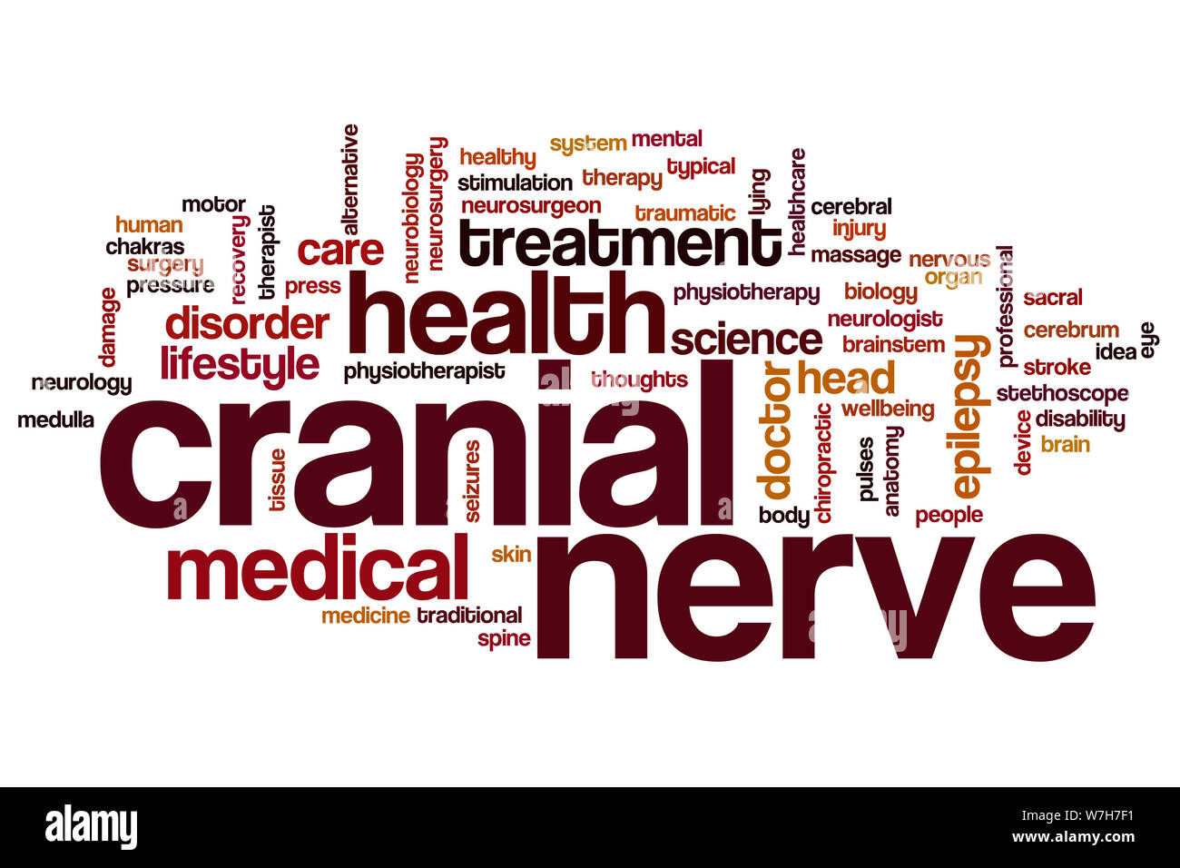 Cranial nerve word cloud concept Stock Photo