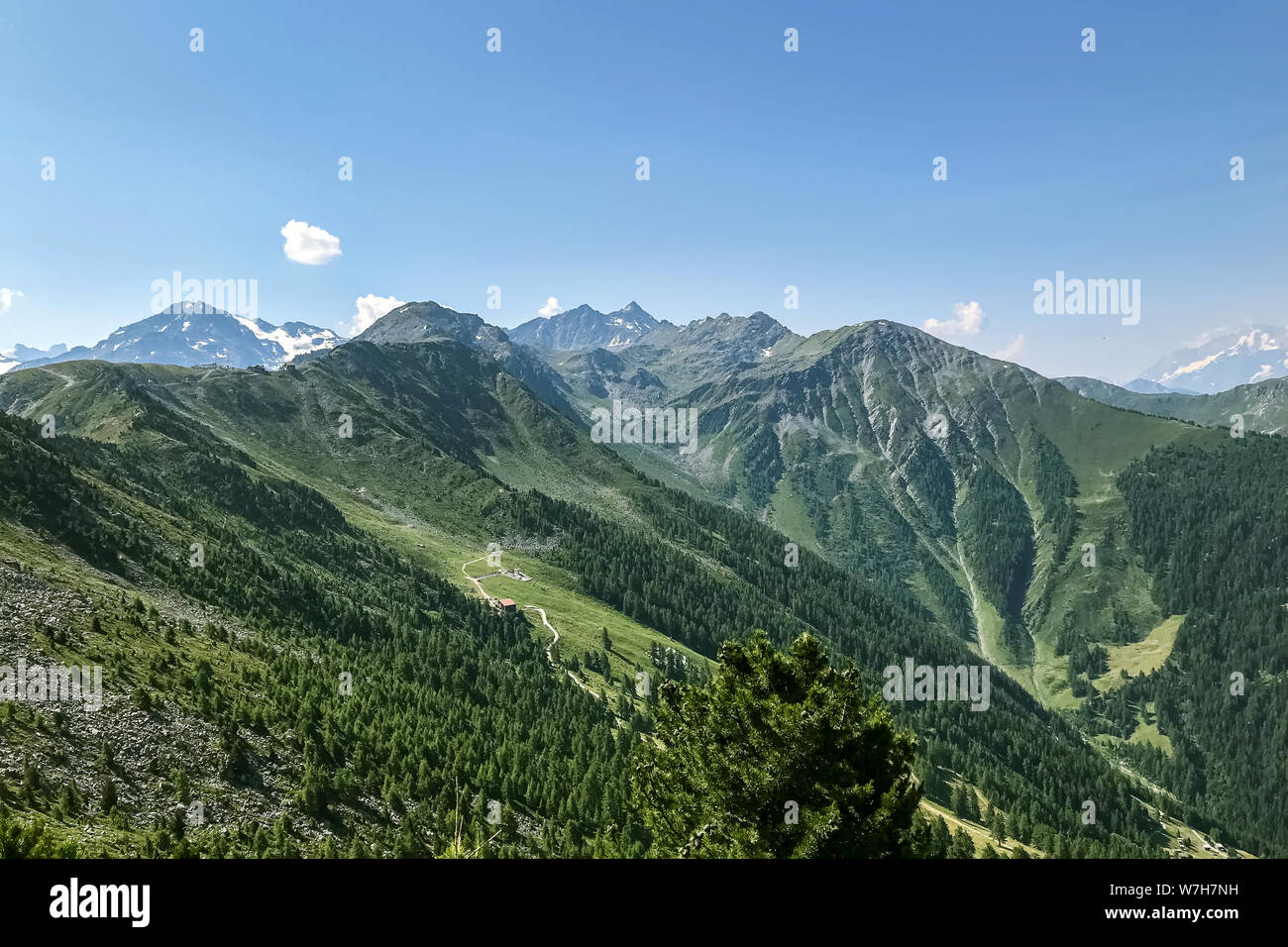 The wooded slopes of the Alpine mountains in Switzerland against a blue sky with a winding path in the distance. Stock Photo