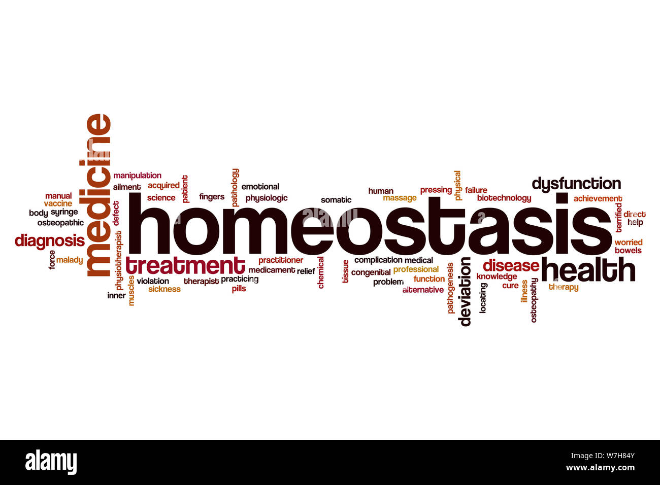 Homeostasis word cloud concept Stock Photo
