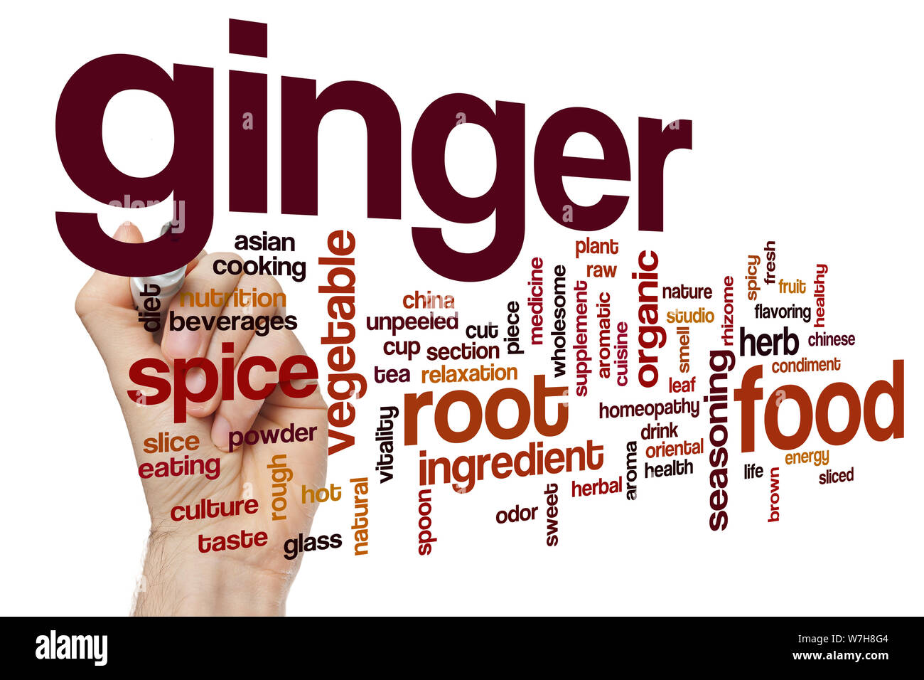 Ginger word cloud concept Stock Photo Alamy