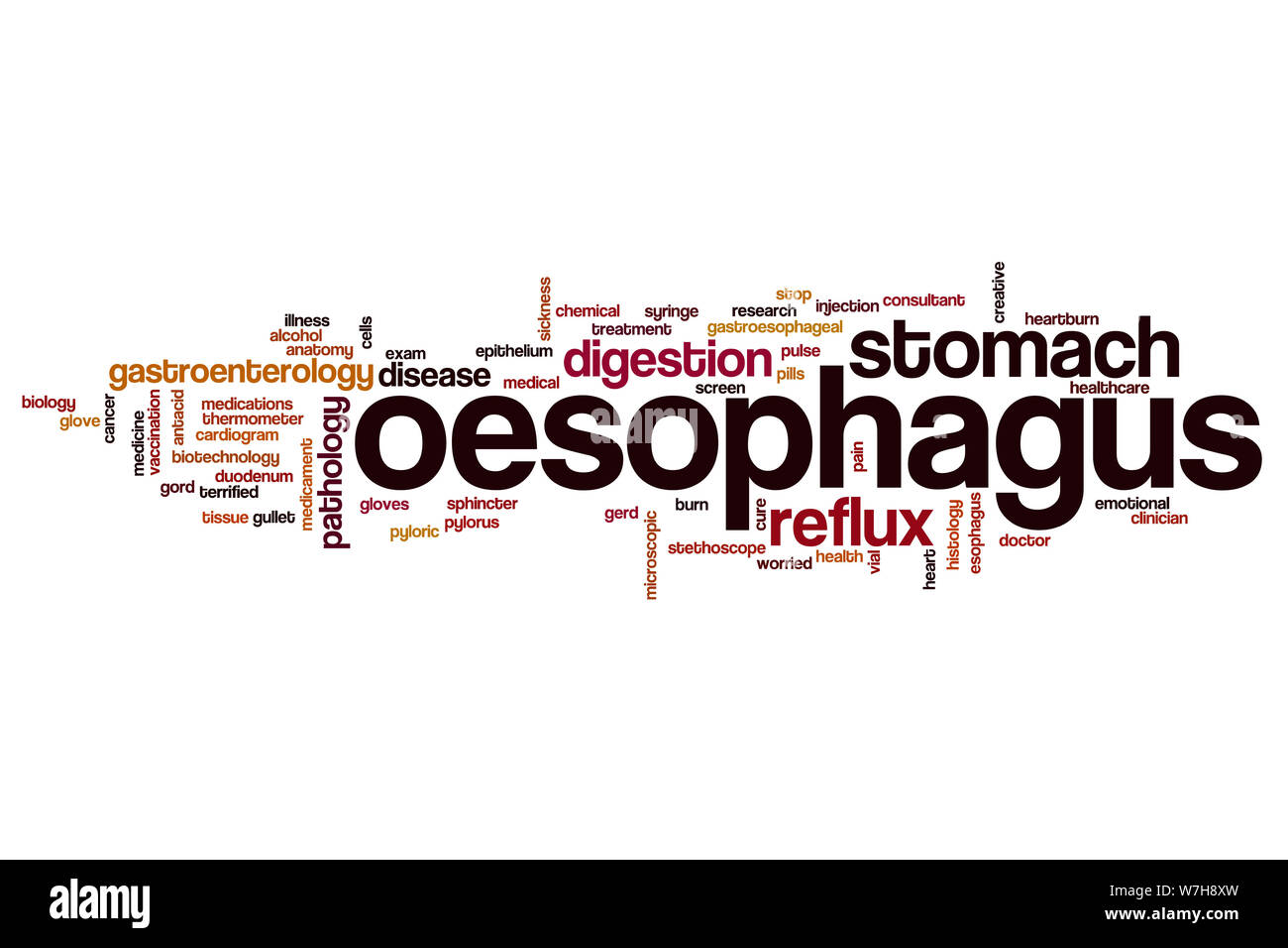 Oesophagus word cloud concept Stock Photo