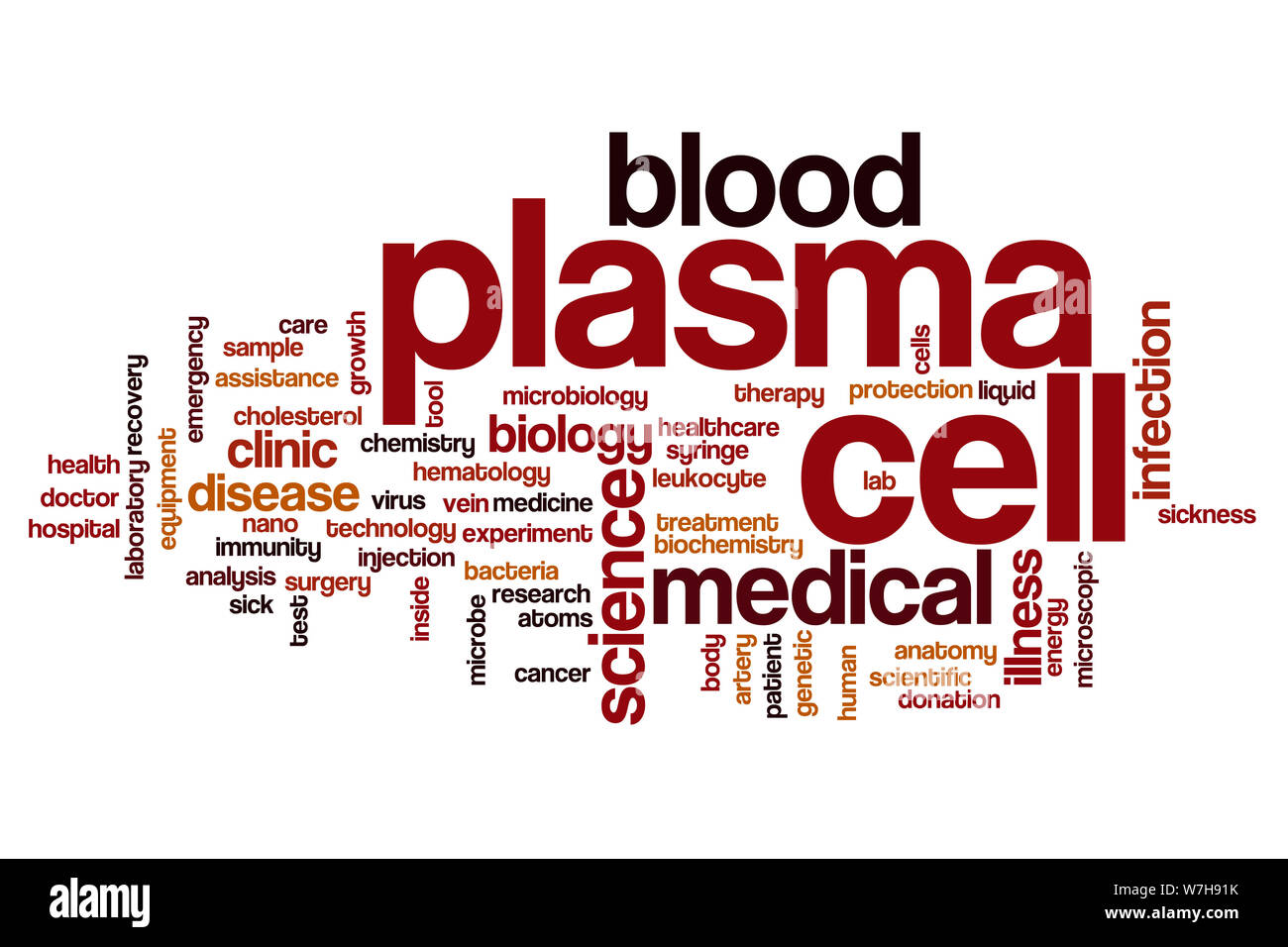 Plasma cell word cloud concept Stock Photo Alamy
