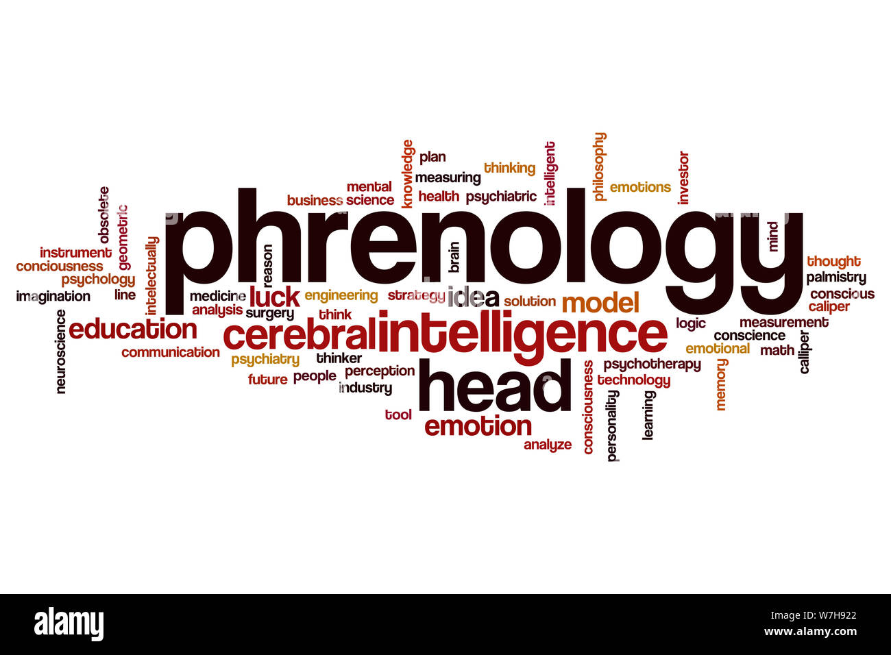 Phrenology word cloud concept Stock Photo