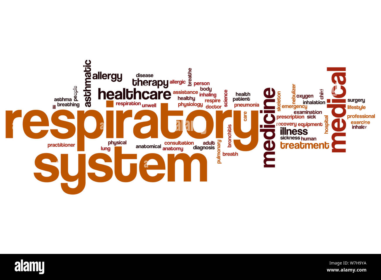 Respiratory system word cloud concept Stock Photo