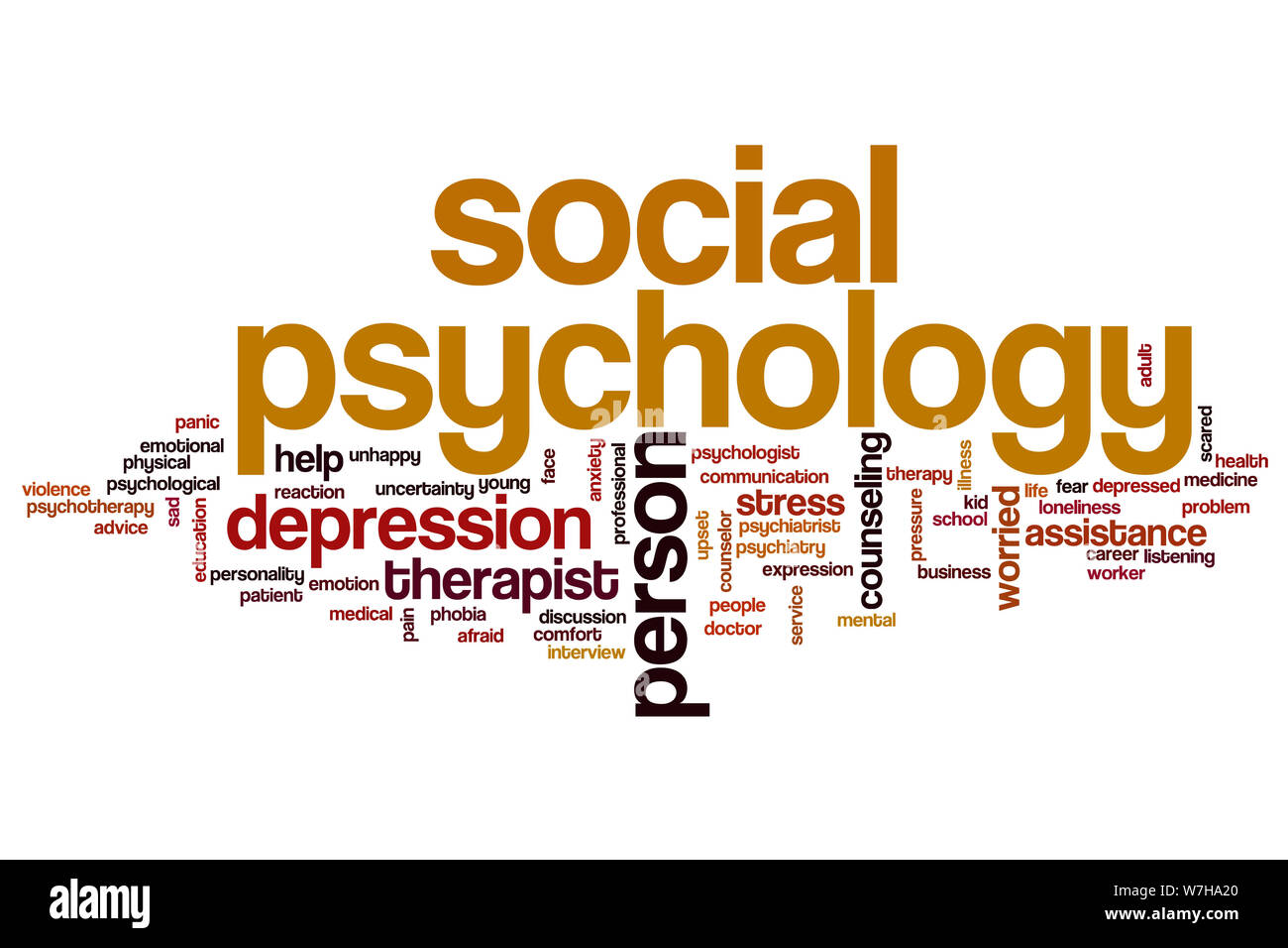 Social Psychologist