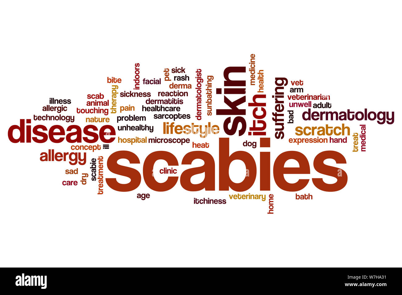 Scabies word cloud concept Stock Photo