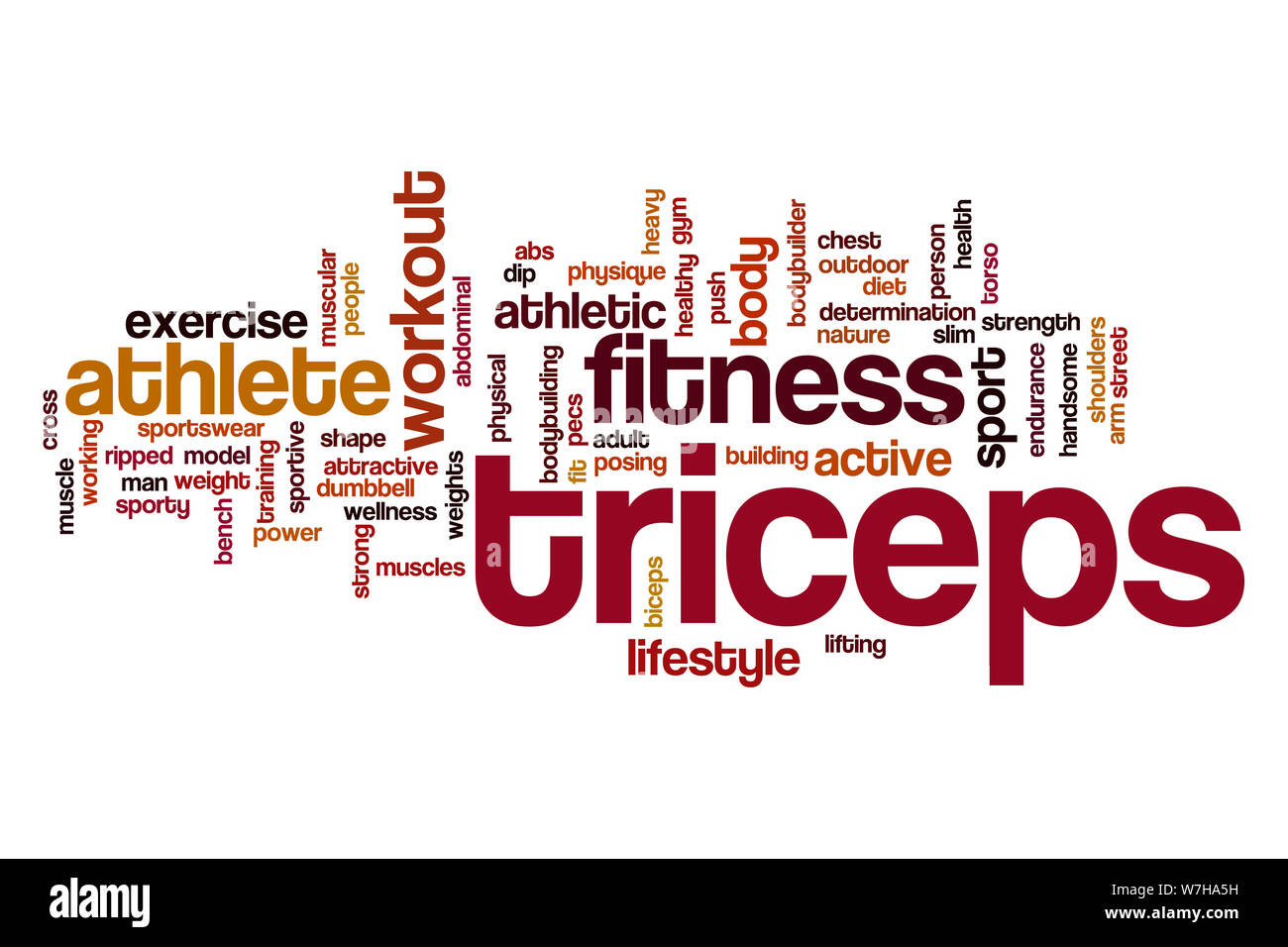Triceps word cloud concept Stock Photo