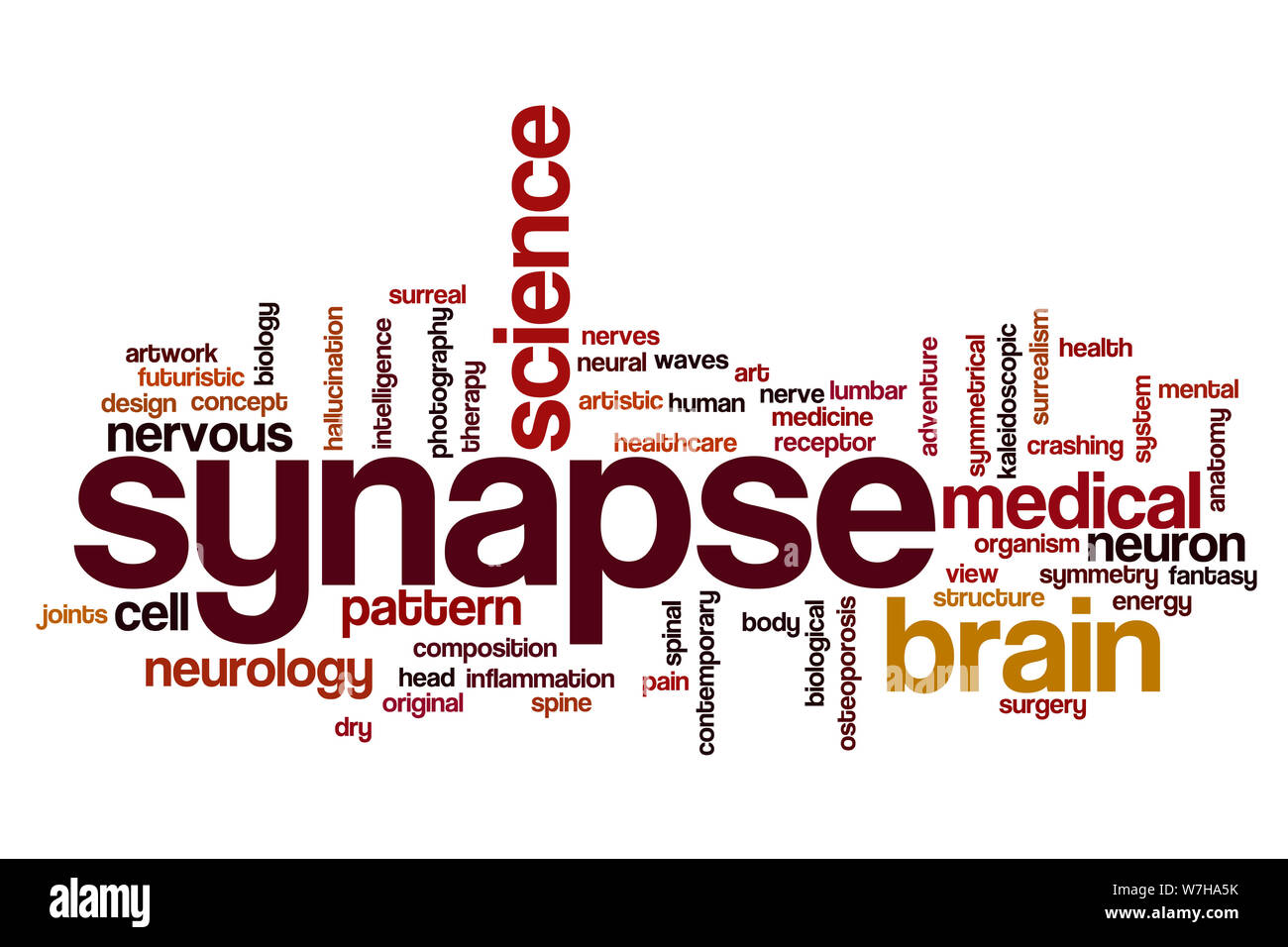 Synapse word cloud concept Stock Photo - Alamy