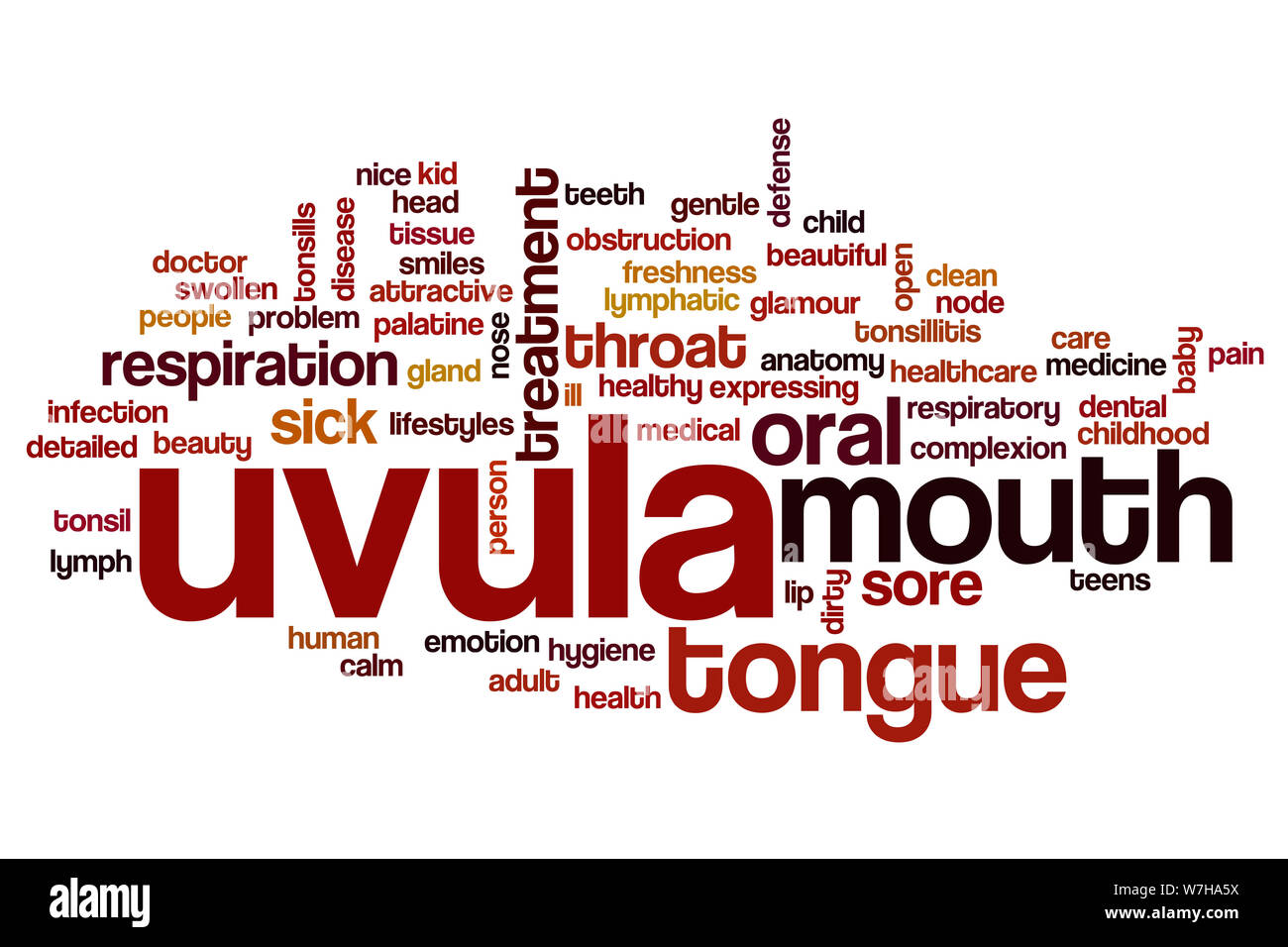 Uvula word cloud concept Stock Photo
