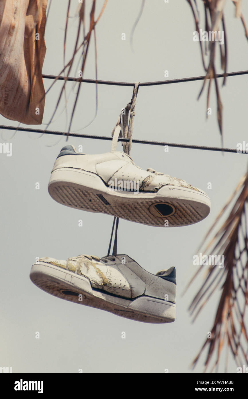 shoes on electric wire with dried palm leaf closeup Stock Photo Alamy