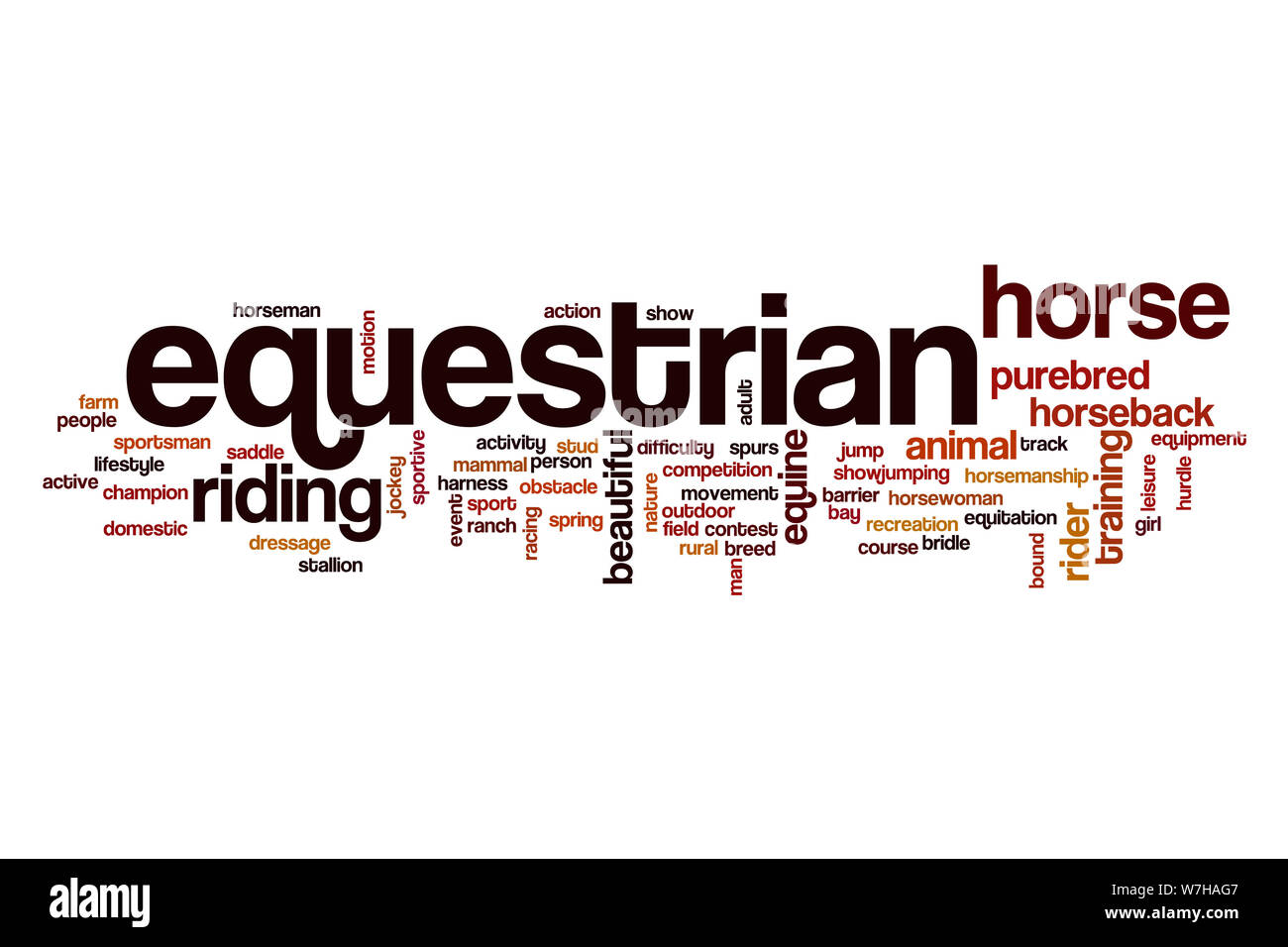 Equestrian word cloud concept Stock Photo Alamy