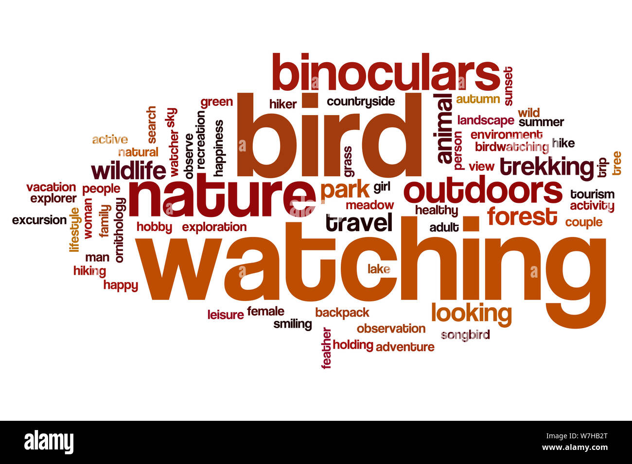 Bird watching word cloud concept Stock Photo Alamy