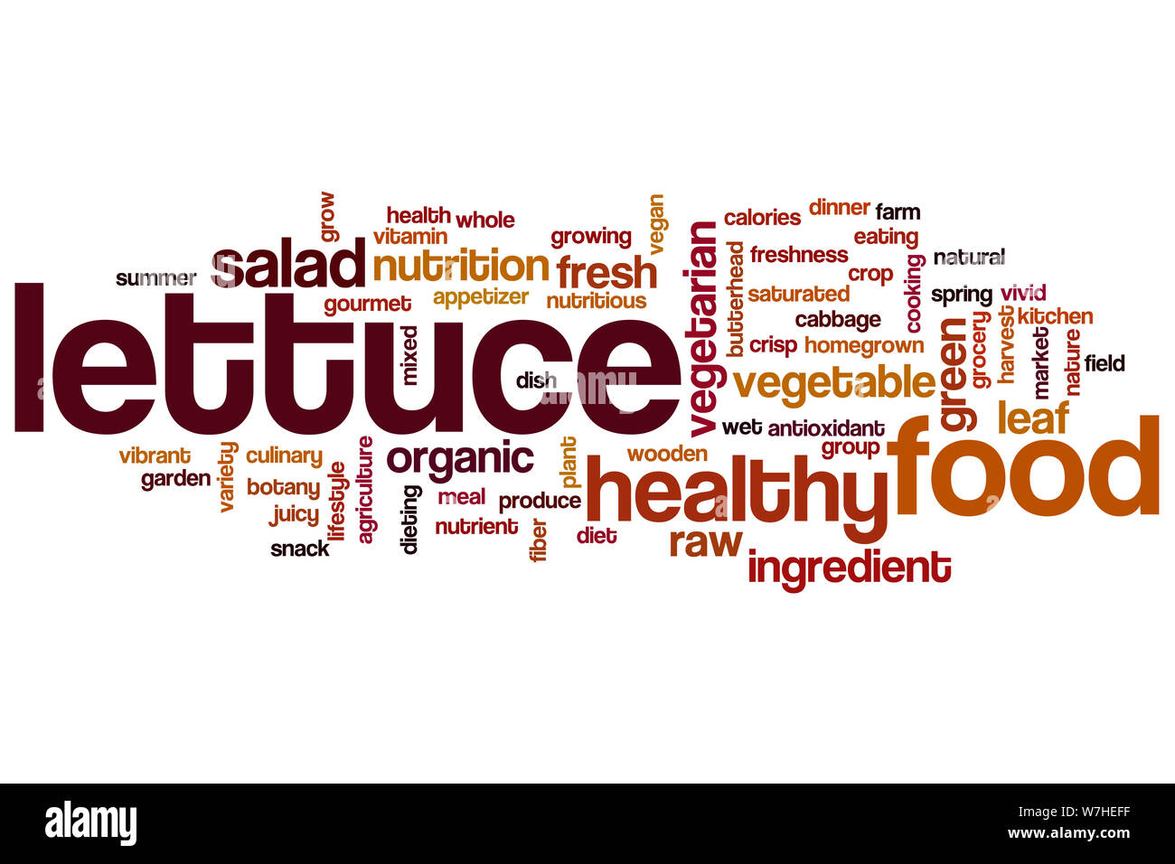Lettuce word cloud concept Stock Photo Alamy