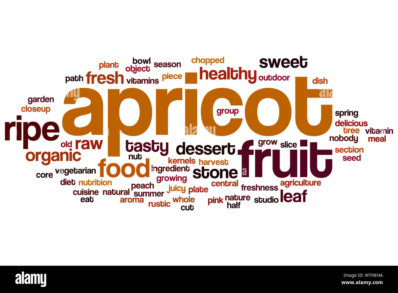 Apricot word cloud concept Stock Photo Alamy