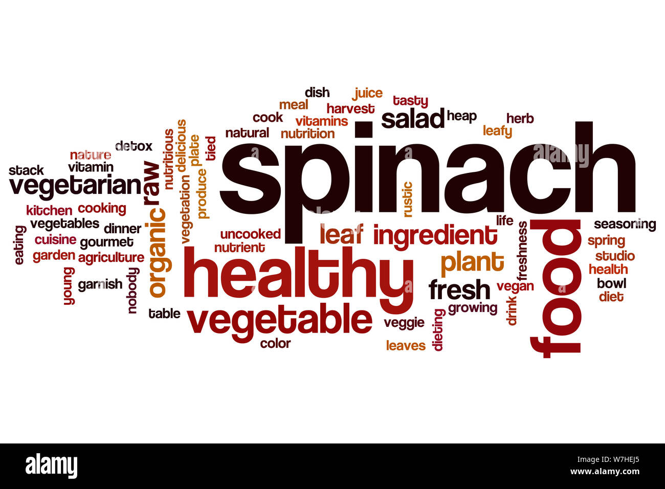 Spinach word cloud concept Stock Photo Alamy