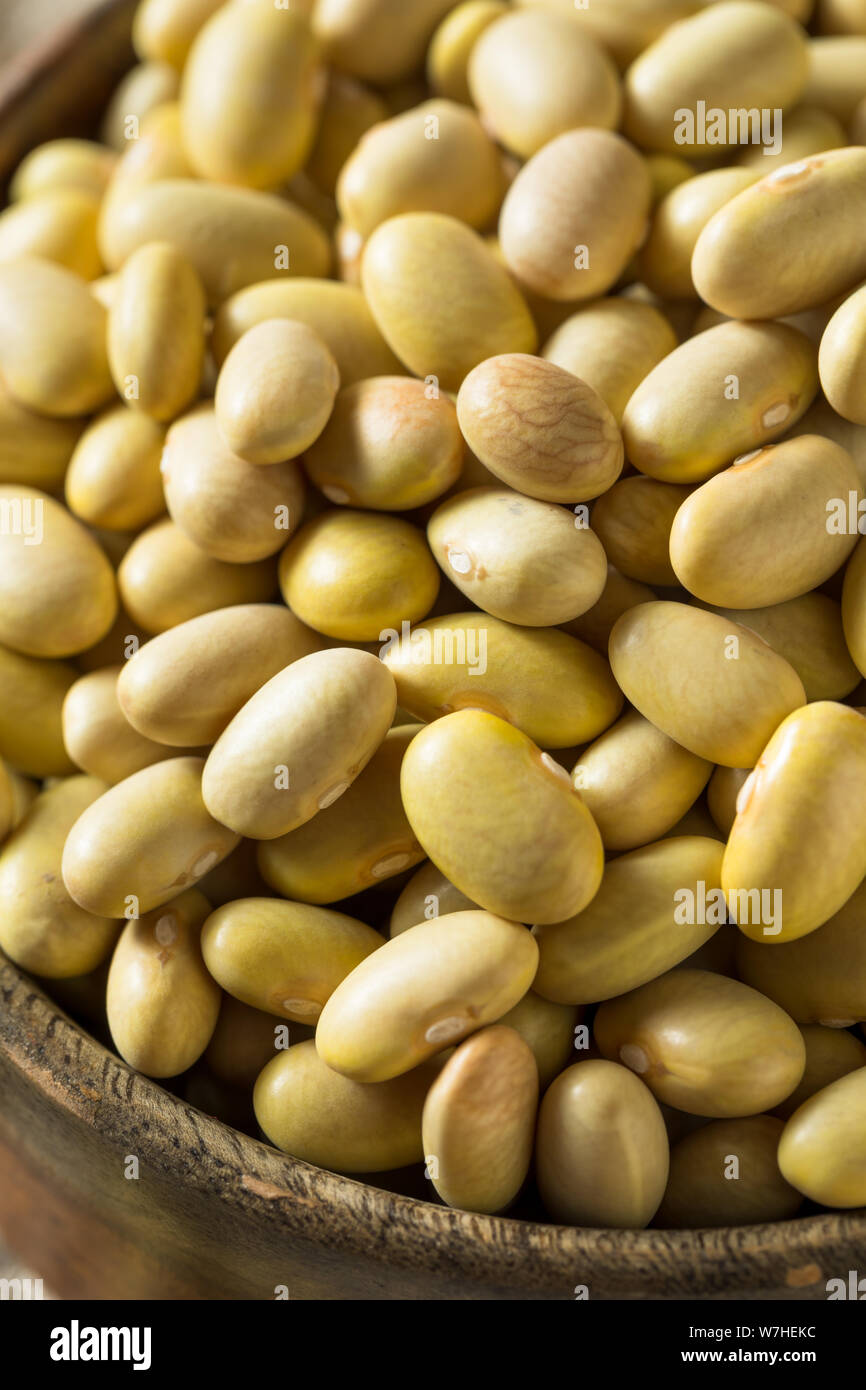 Dry Organic Yellow Mayocoba Beans in a Bowl Stock Photo