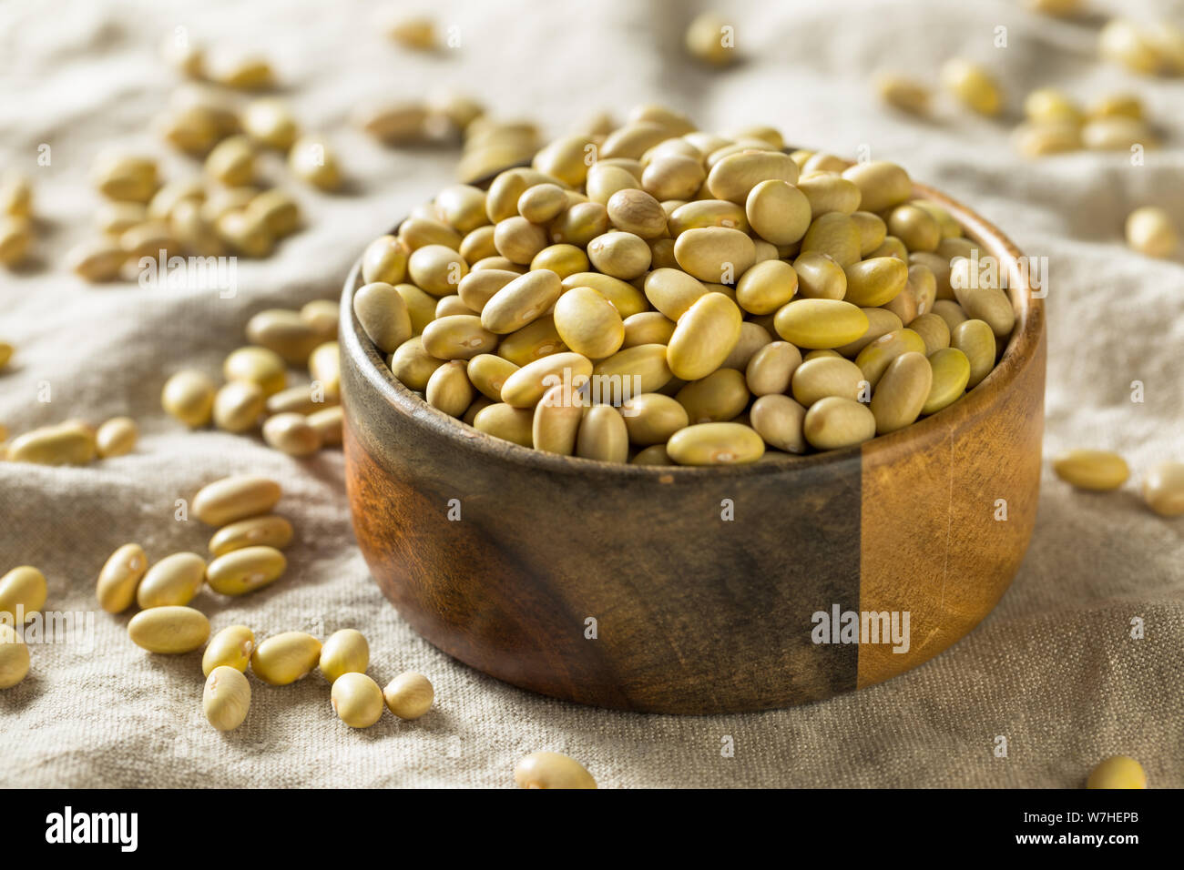 Dry Organic Yellow Mayocoba Beans in a Bowl Stock Photo
