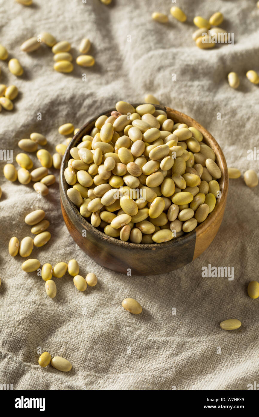 Dry Organic Yellow Mayocoba Beans in a Bowl Stock Photo
