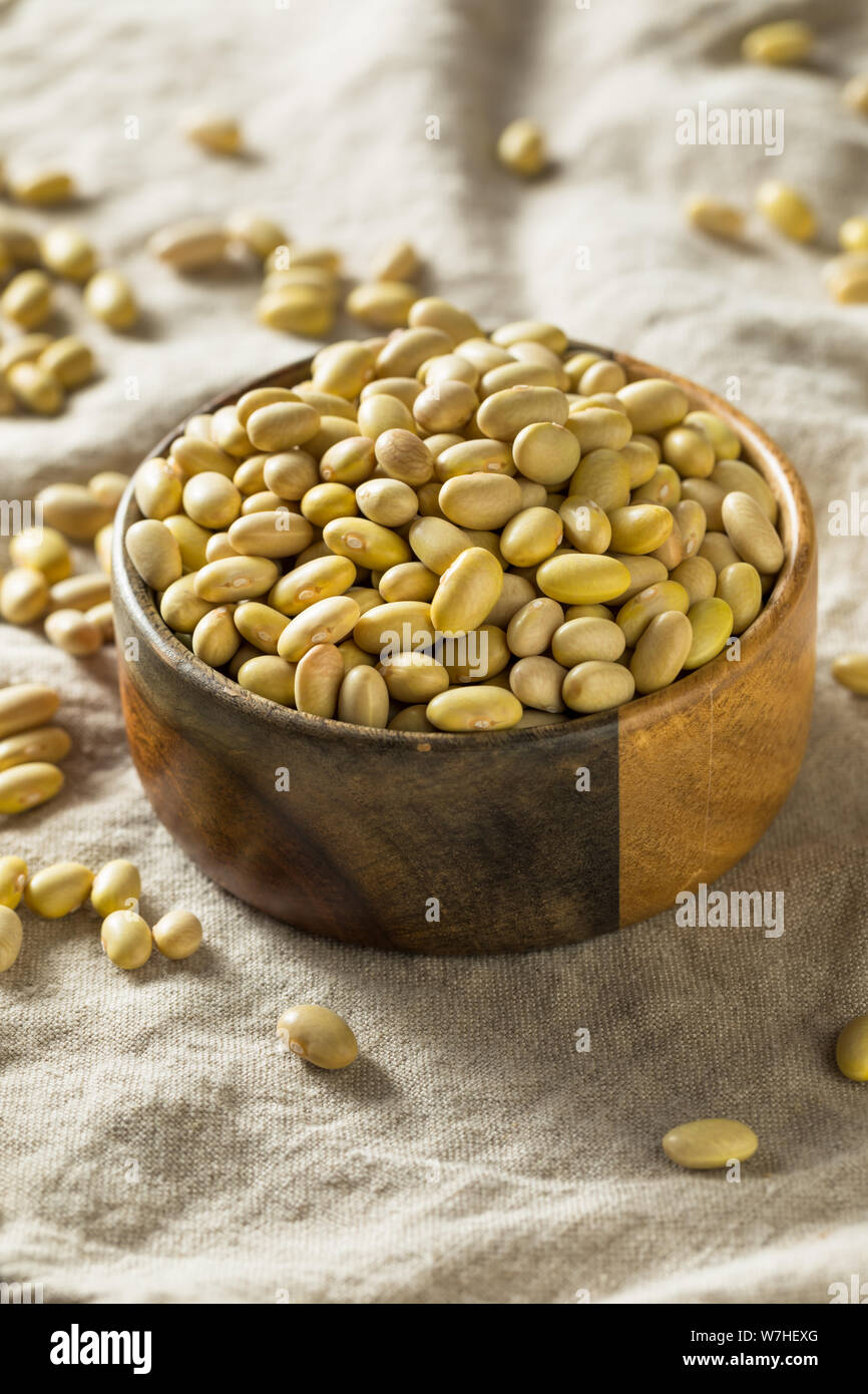 Dry Organic Yellow Mayocoba Beans in a Bowl Stock Photo