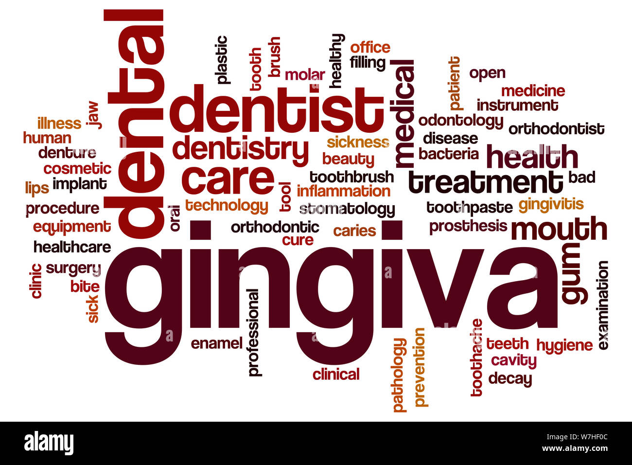 Gingiva word cloud concept Stock Photo