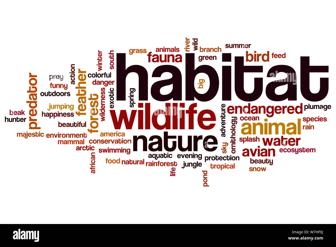 Habitat word cloud concept Stock Photo Alamy