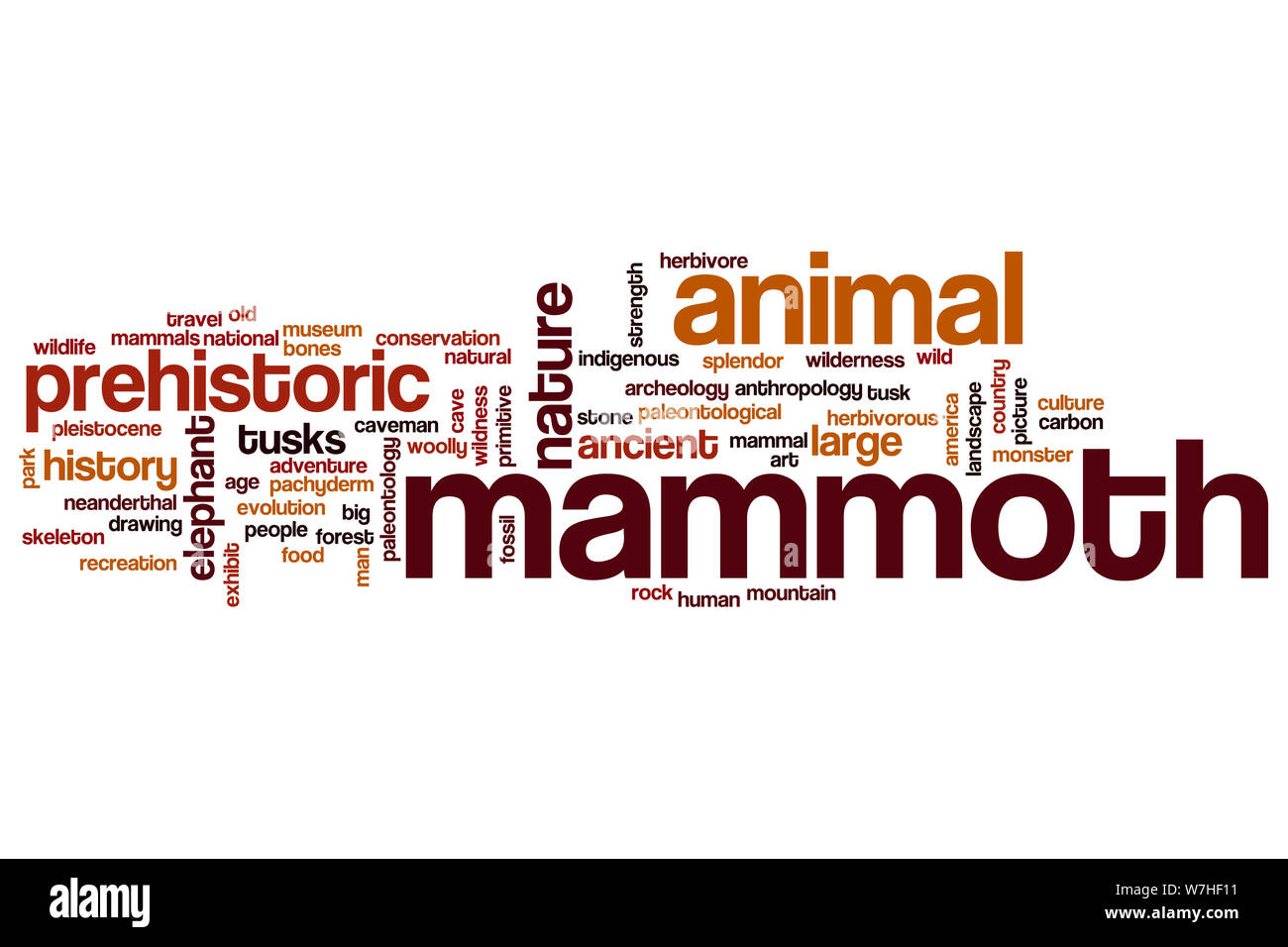 Woolly mammoth drawing hires stock photography and images Alamy