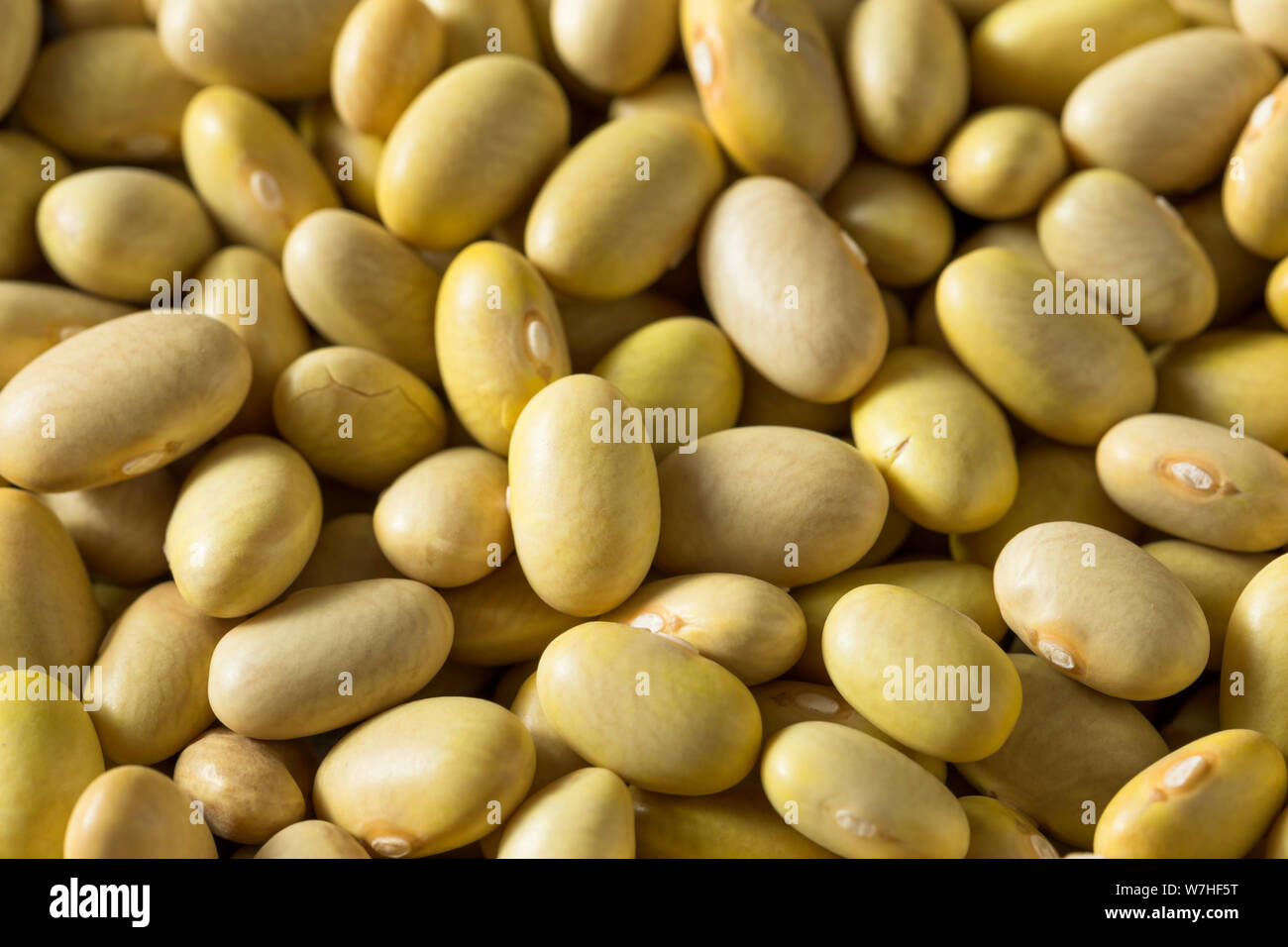 Dry Organic Yellow Mayocoba Beans in a Bowl Stock Photo