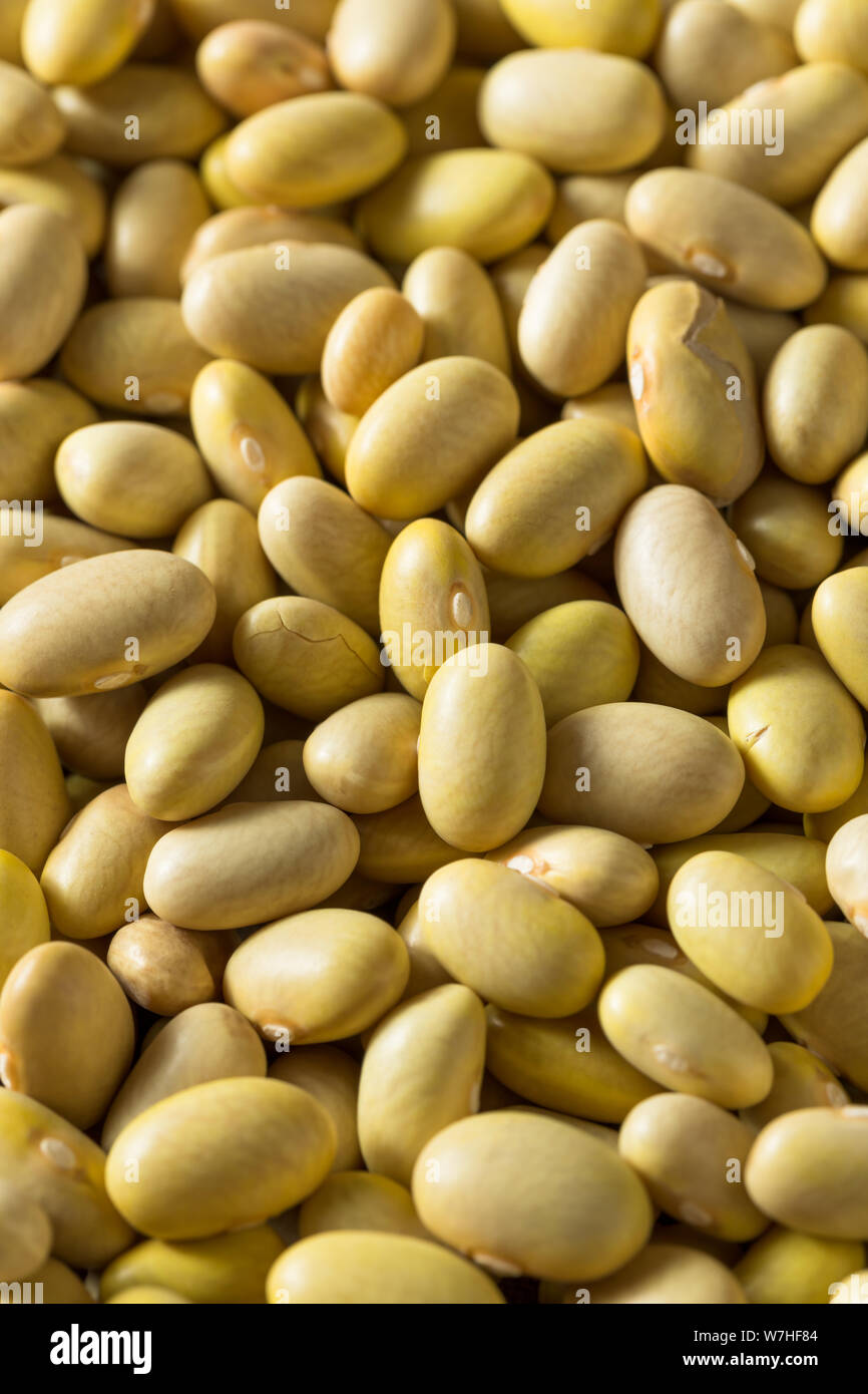 Dry Organic Yellow Mayocoba Beans in a Bowl Stock Photo