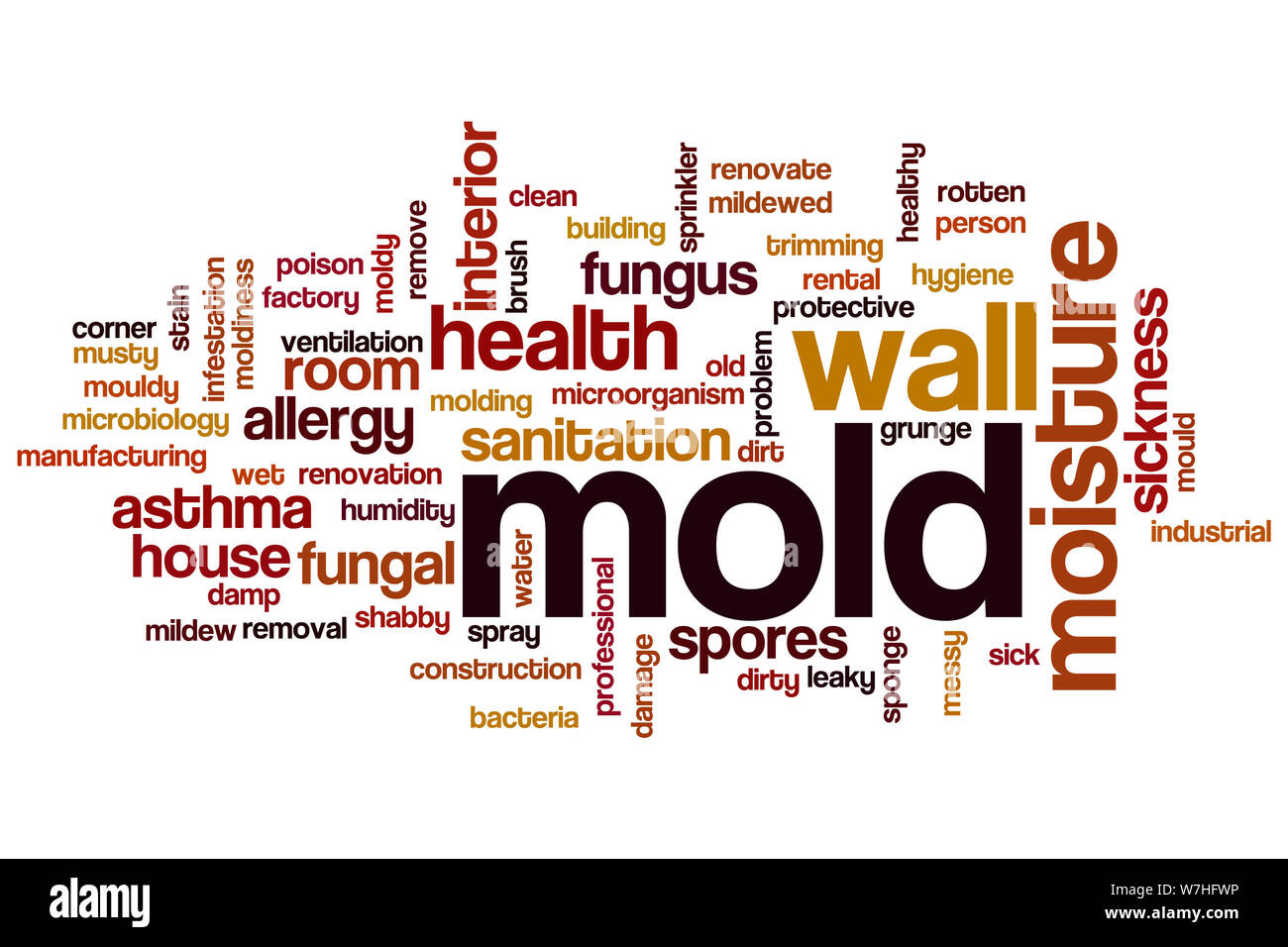 Mold word cloud concept Stock Photo Alamy