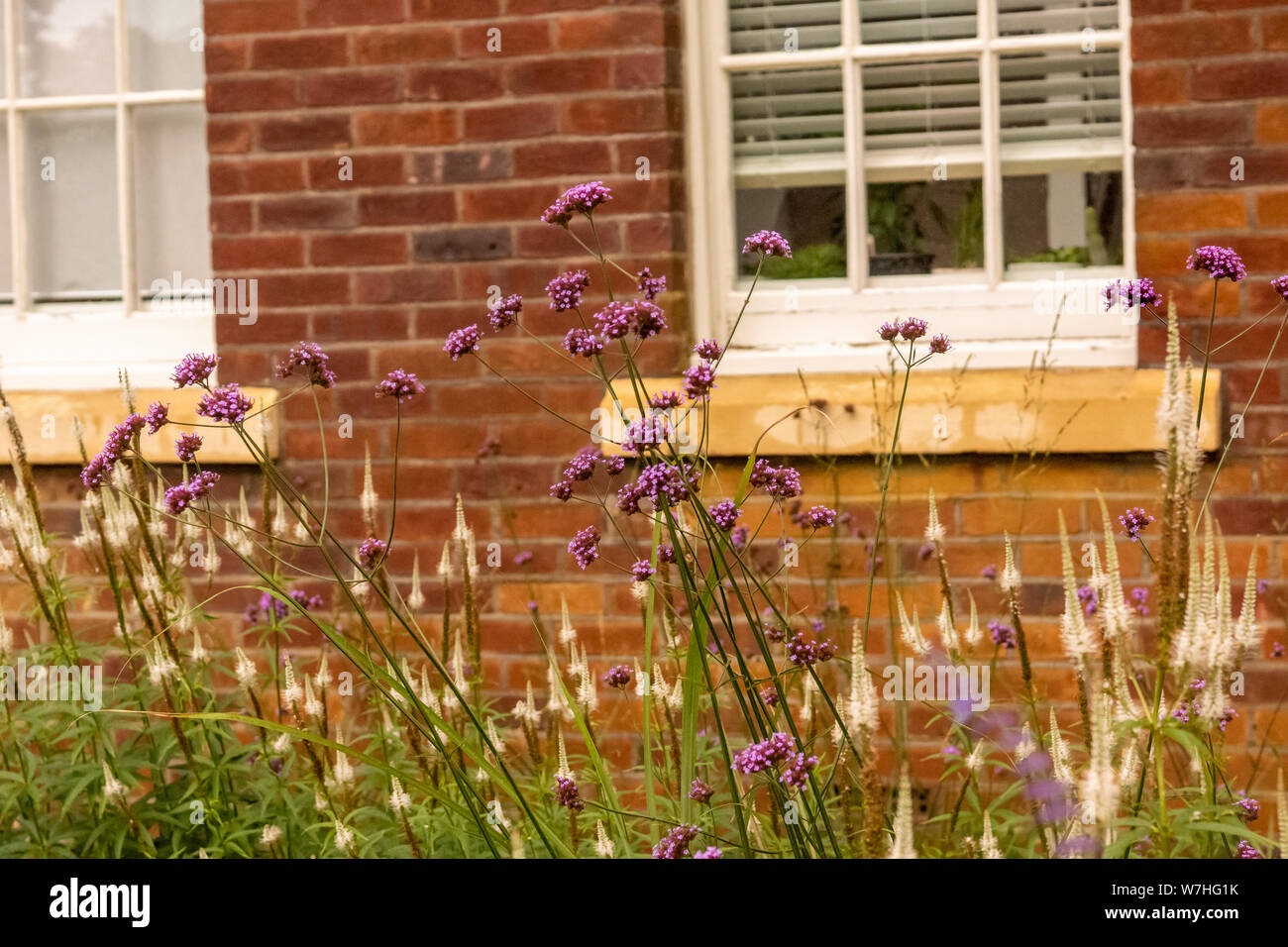 Floral display garden hi-res stock photography and images - Alamy