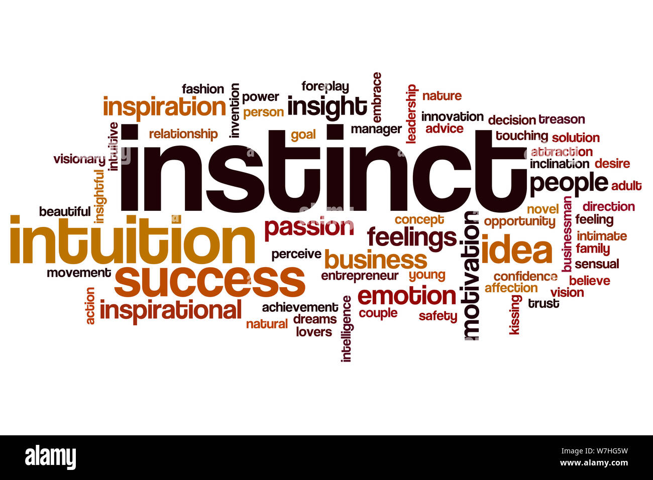 Instinct word cloud concept Stock Photo