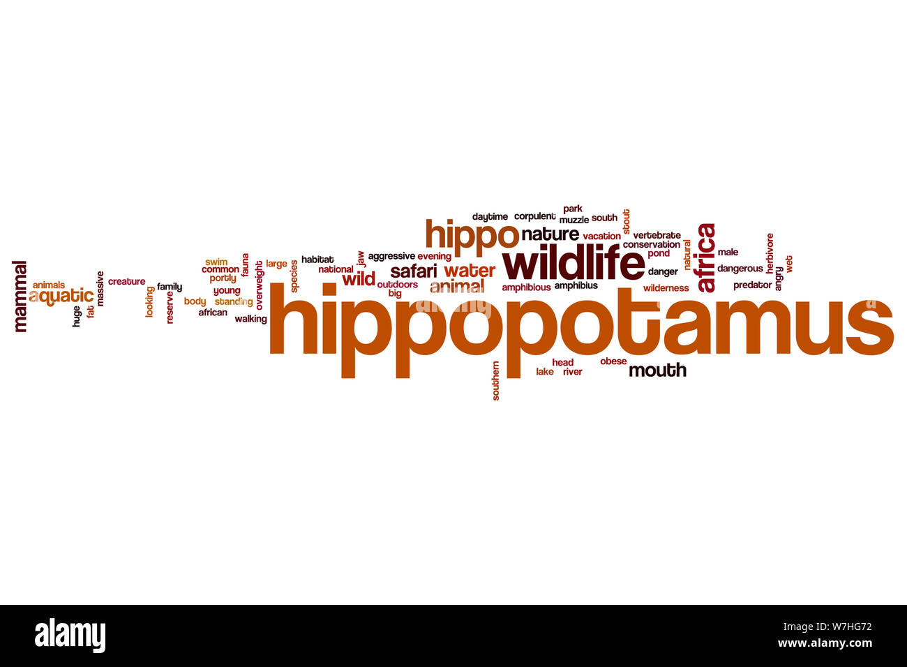 Hippopotamus Cut Out Stock Images & Pictures Alamy