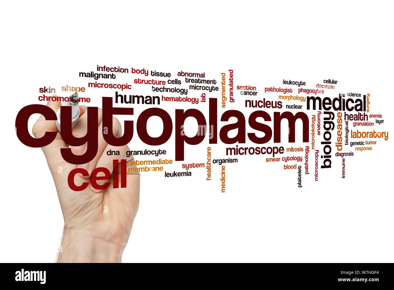 Cytoplasm word cloud concept Stock Photo