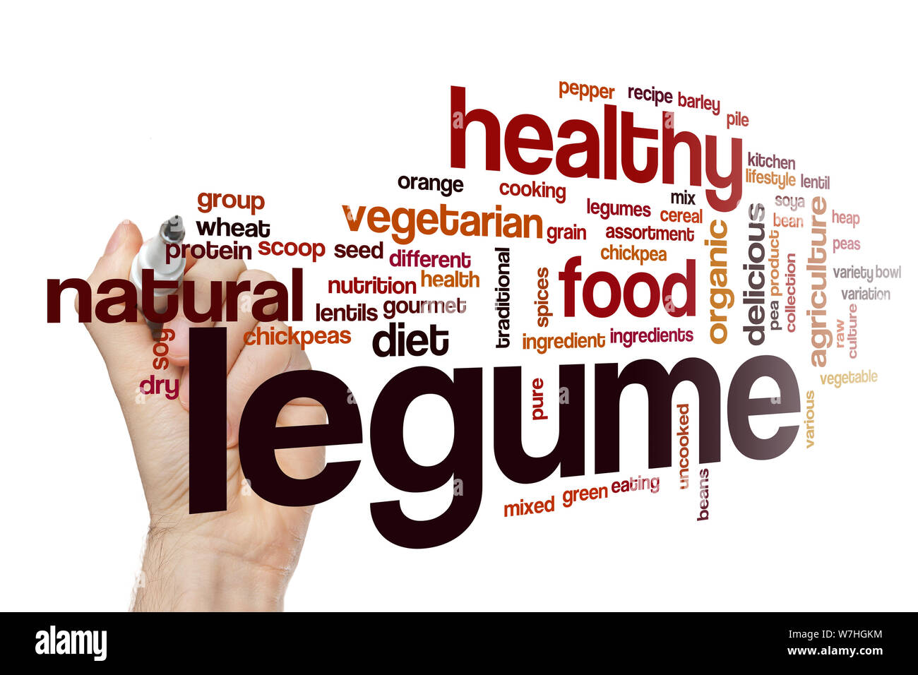 Legume word cloud concept Stock Photo